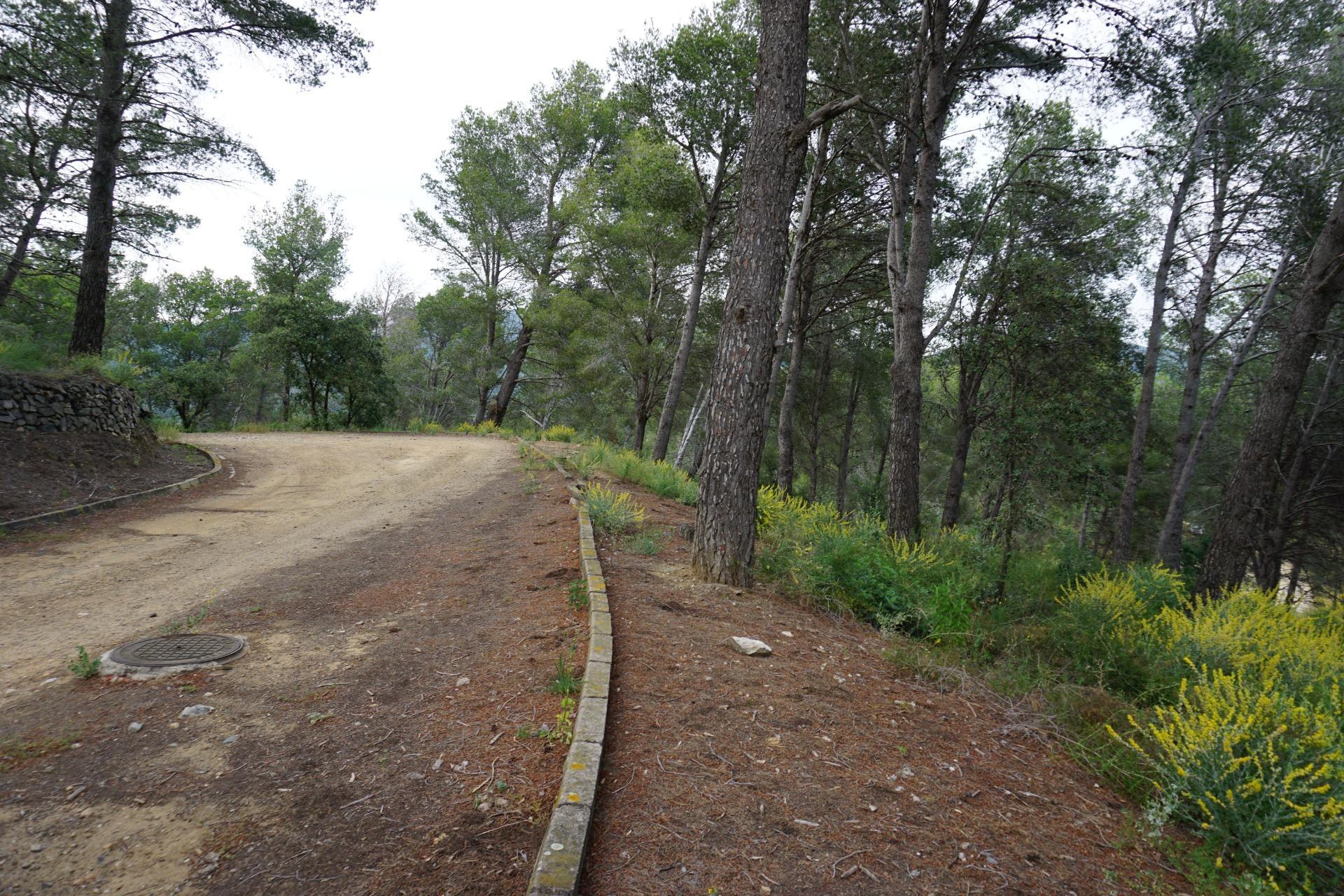 Fincas y solares-Venta-Riudecanyes-1886221-Foto-21