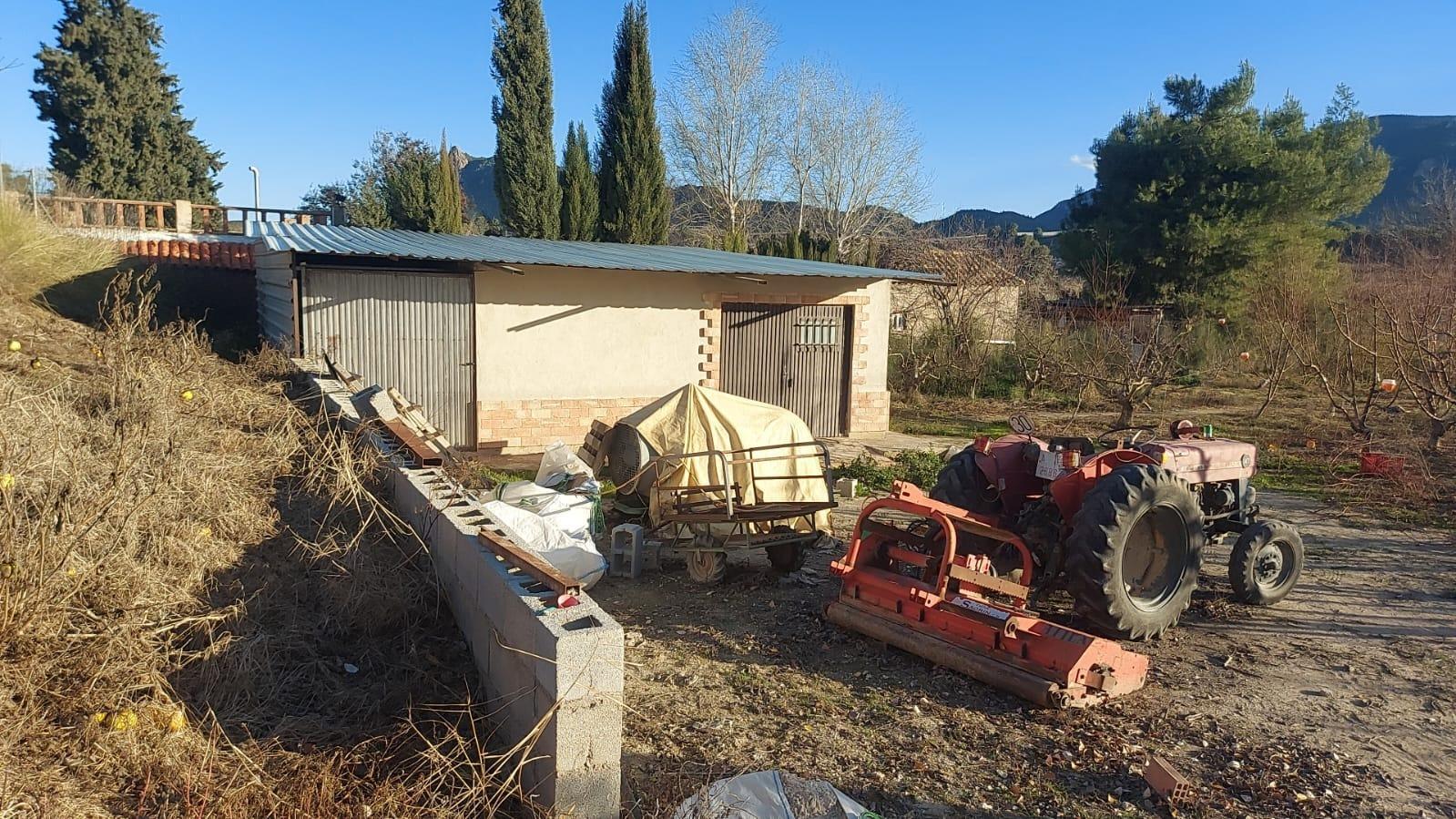 Fincas y solares-Venta-Cieza-2063658-Foto-3