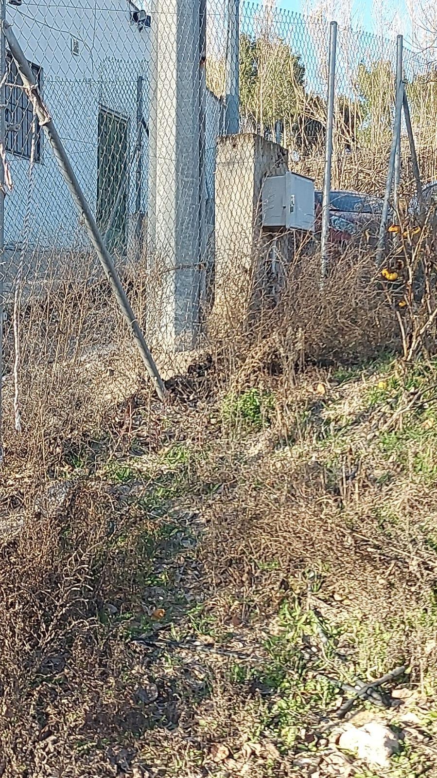 Fincas y solares-Venta-Cieza-2063658-Foto-6