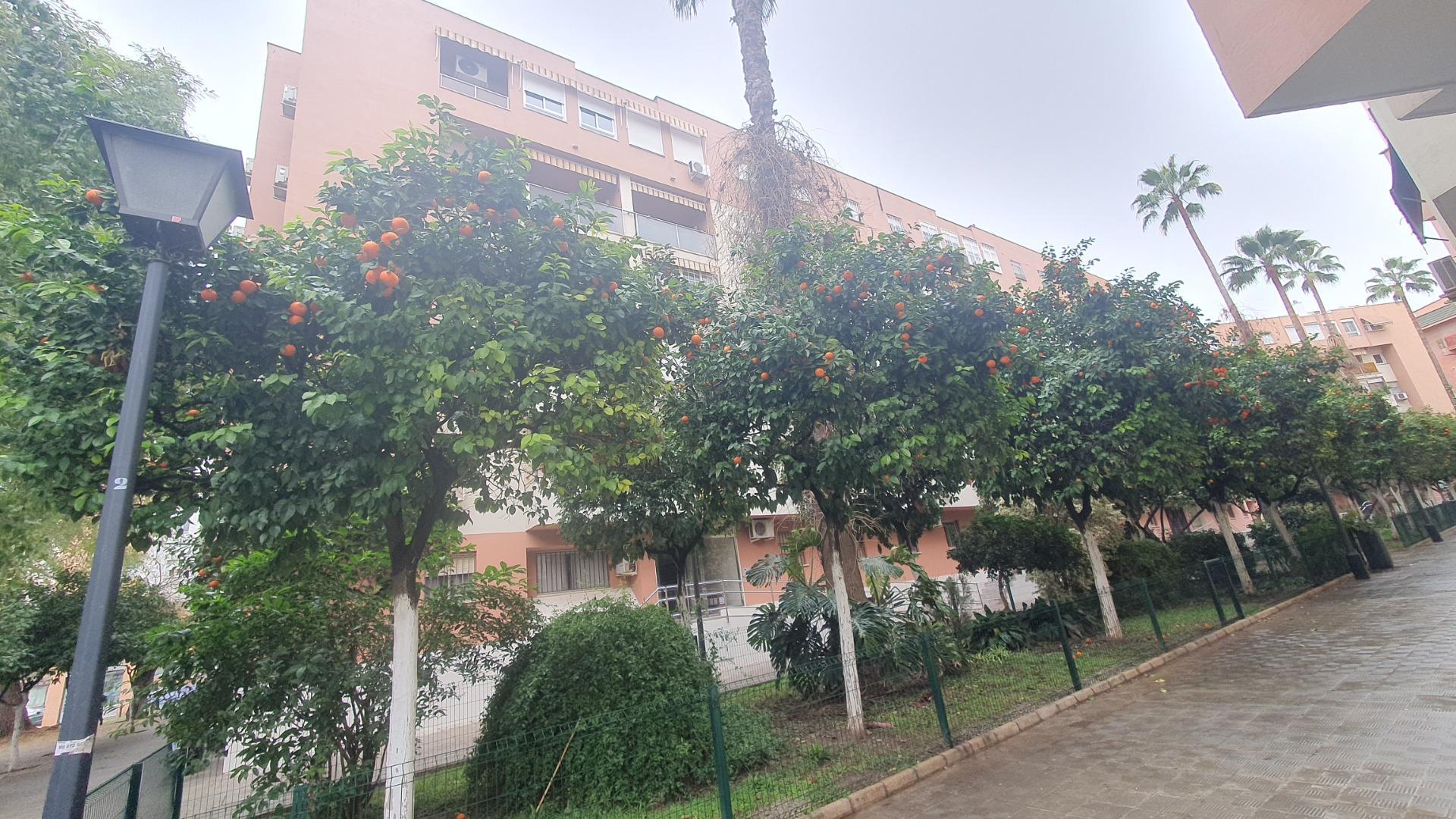 Pisos-Alquiler-Burguillos-2063661-Foto-2