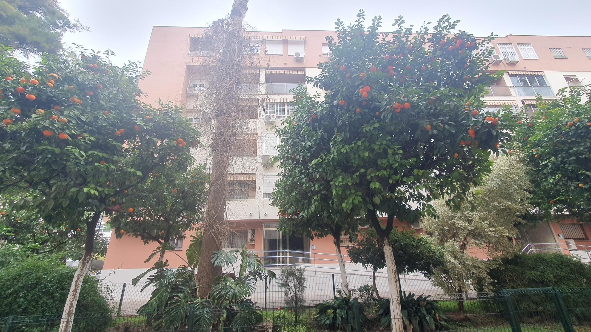 Pisos-Alquiler-2063661