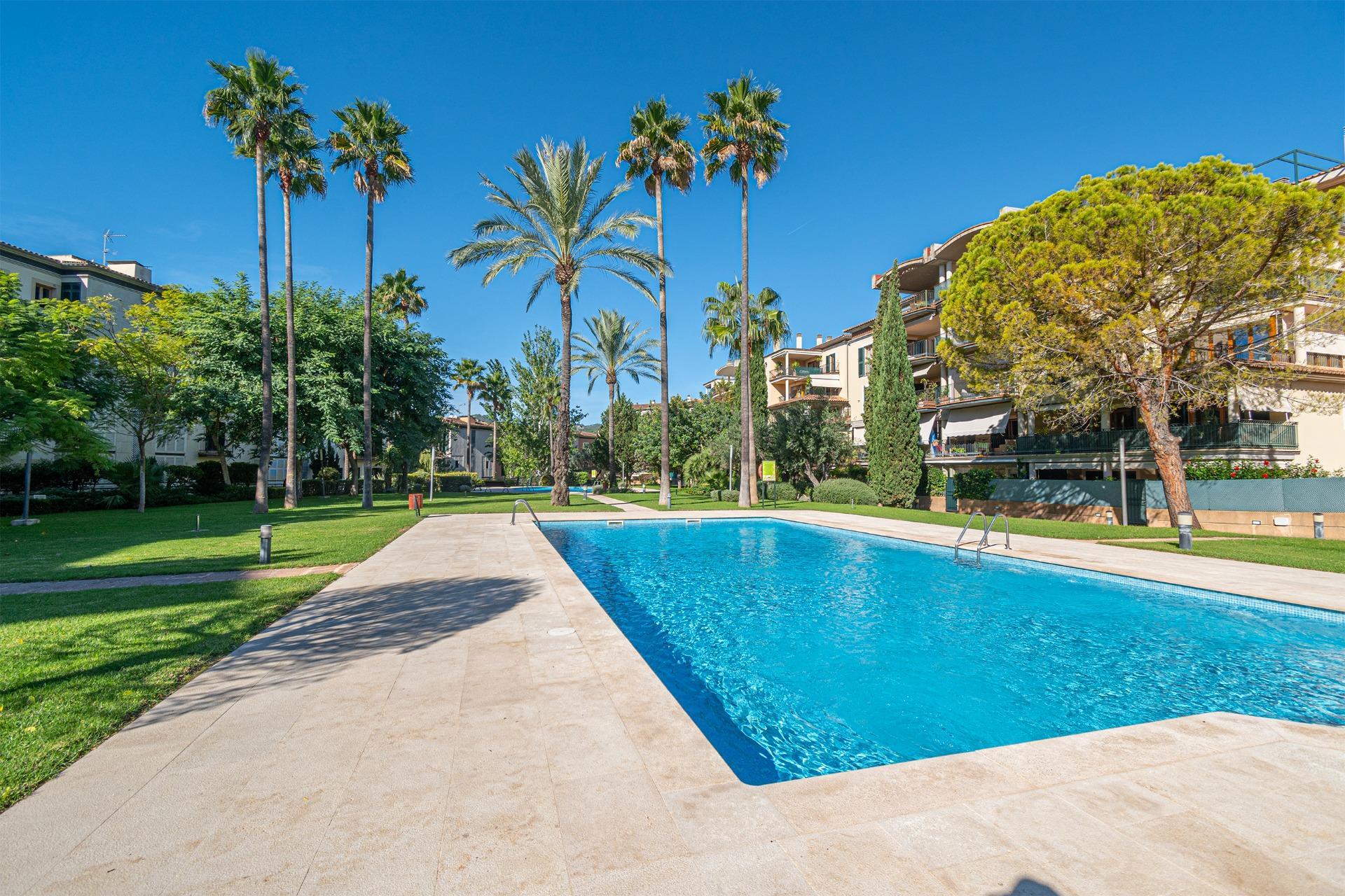 Pisos-Venta-Palma de Mallorca-1905053-Foto-42