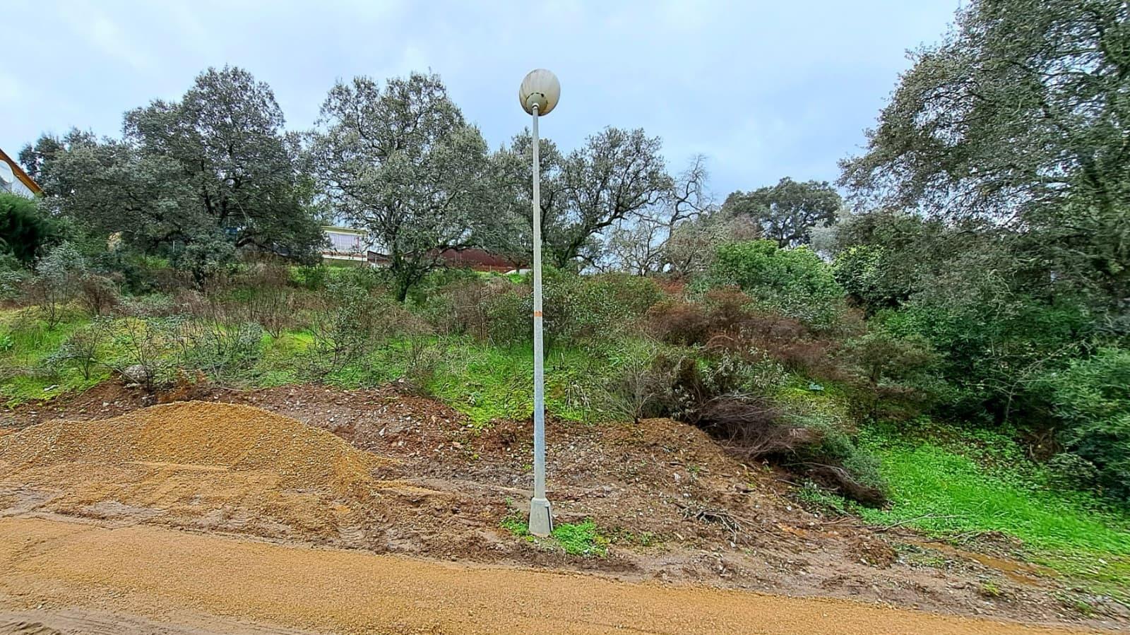 Fincas y solares-Venta-Guillena-2063682-Foto-2