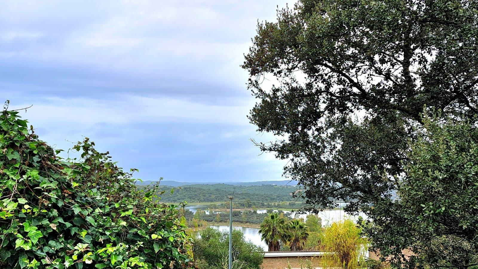 Fincas y solares-Venta-Guillena-2063682