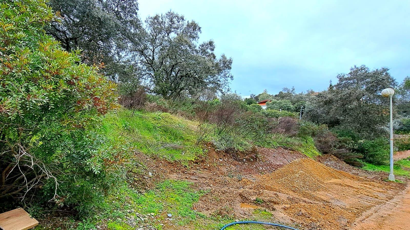 Fincas y solares-Venta-Guillena-2063682-Foto-3