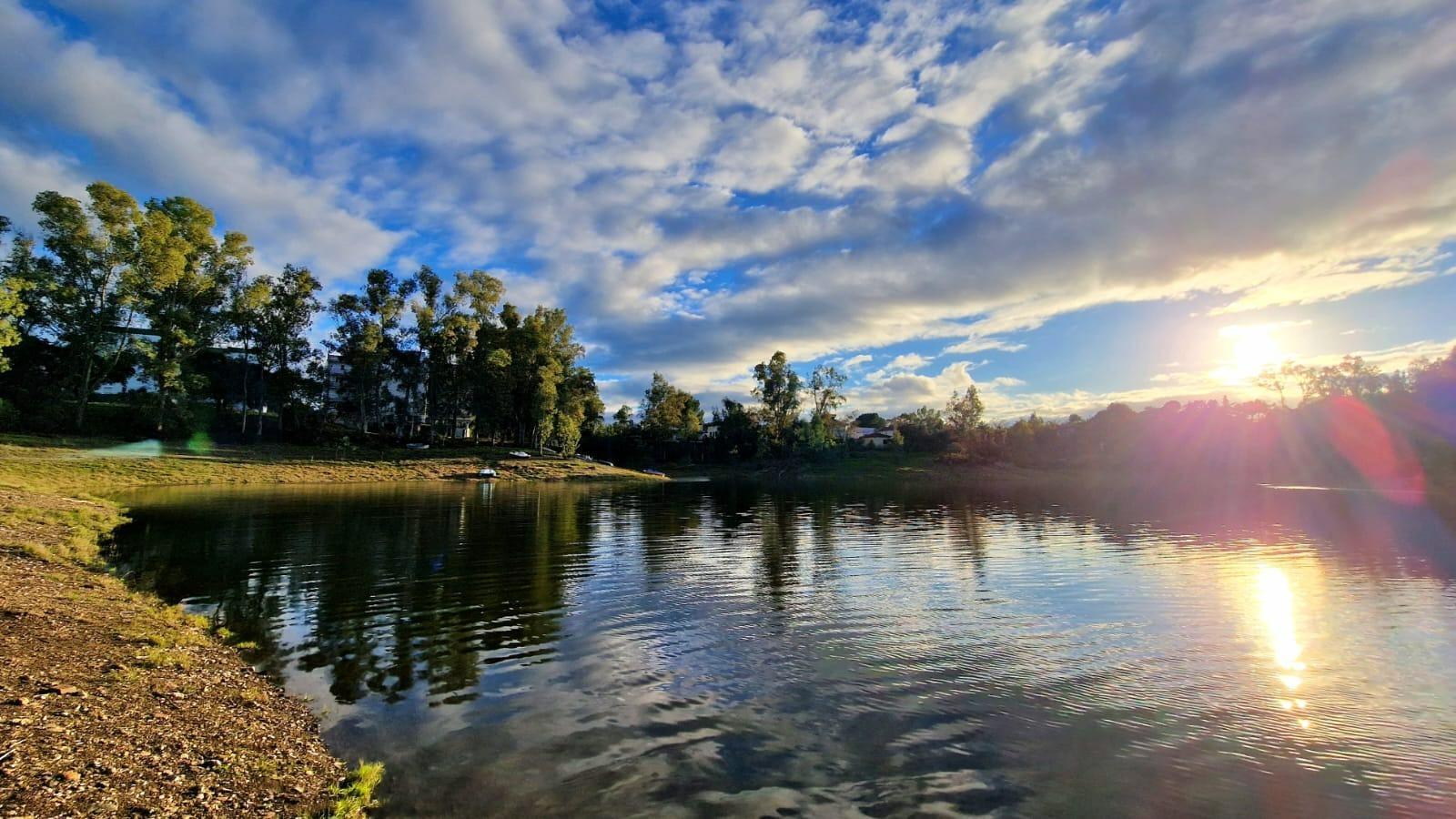 Fincas y solares-Venta-Guillena-2063682-Foto-8