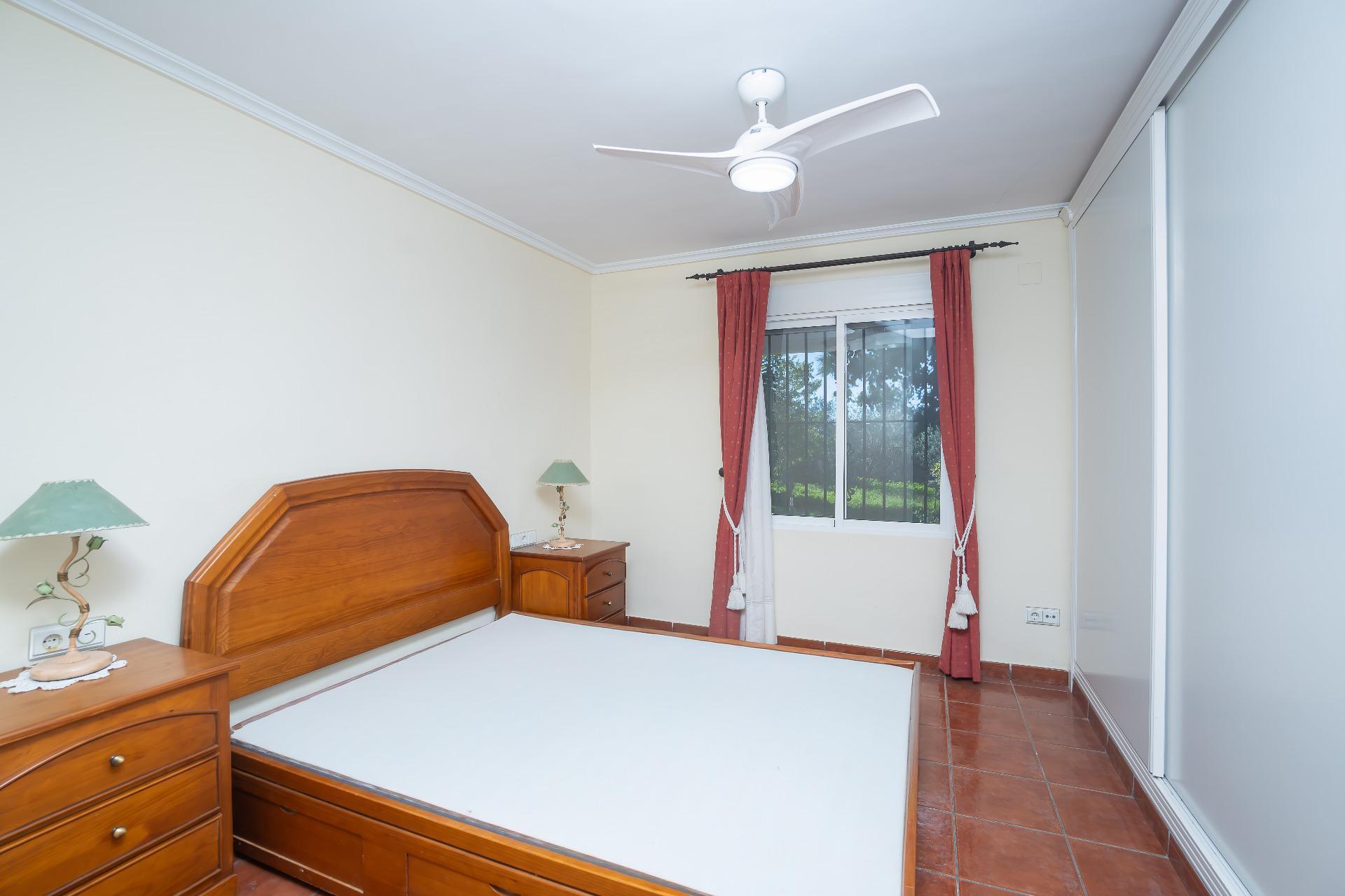 Casas o chalets-Venta-Elche-2064083-Foto-10