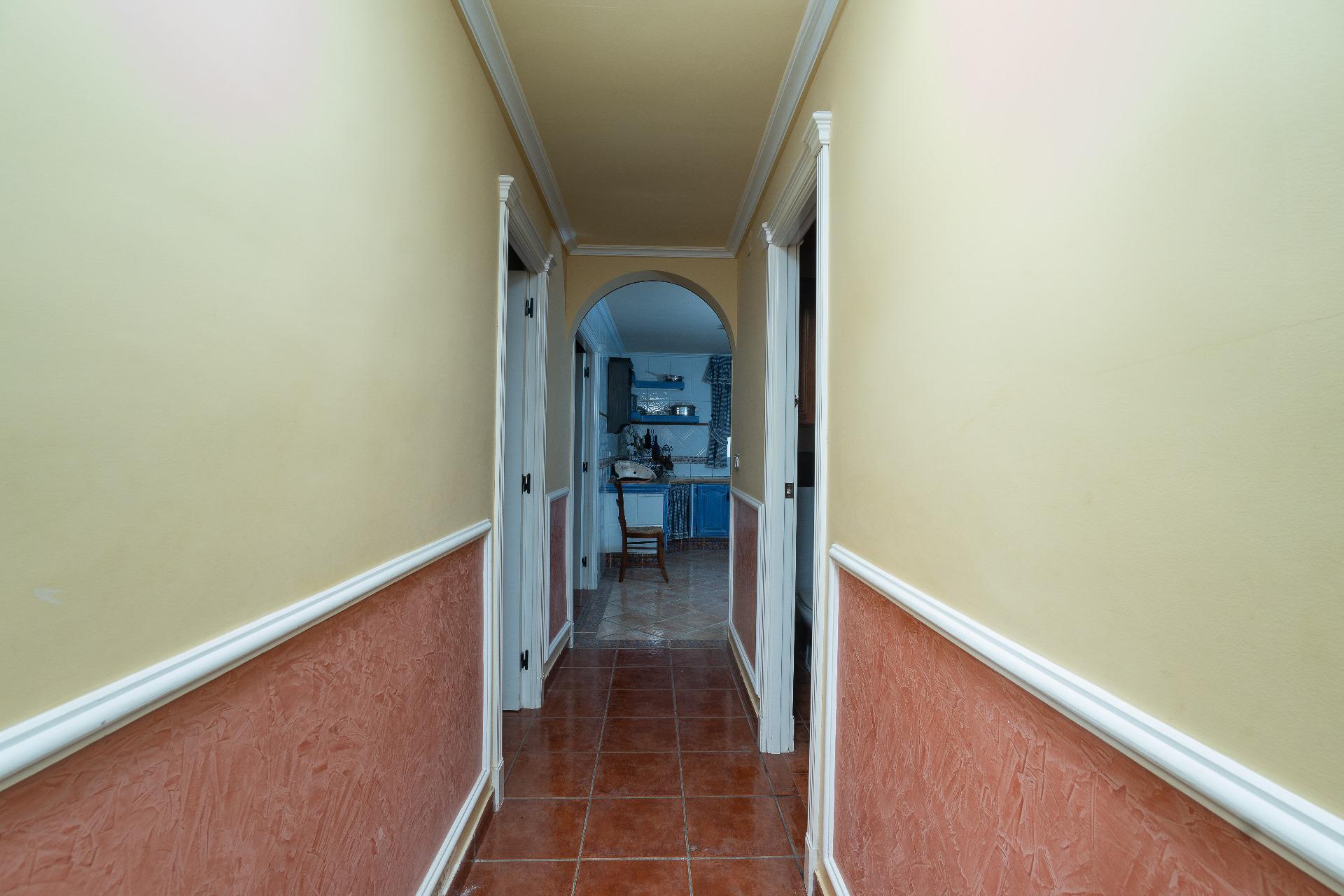 Casas o chalets-Venta-Elche-2064083-Foto-15