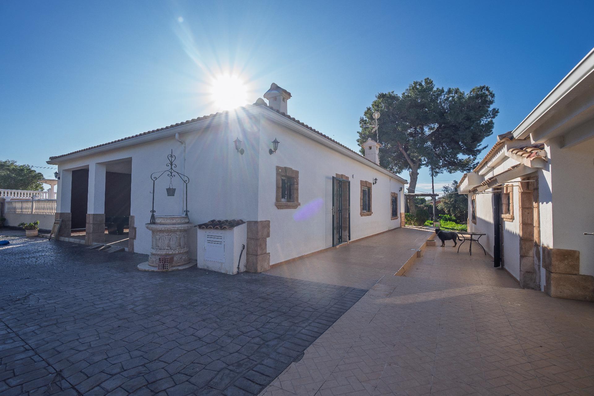 Casas o chalets-Venta-Elche-2064083-Foto-23