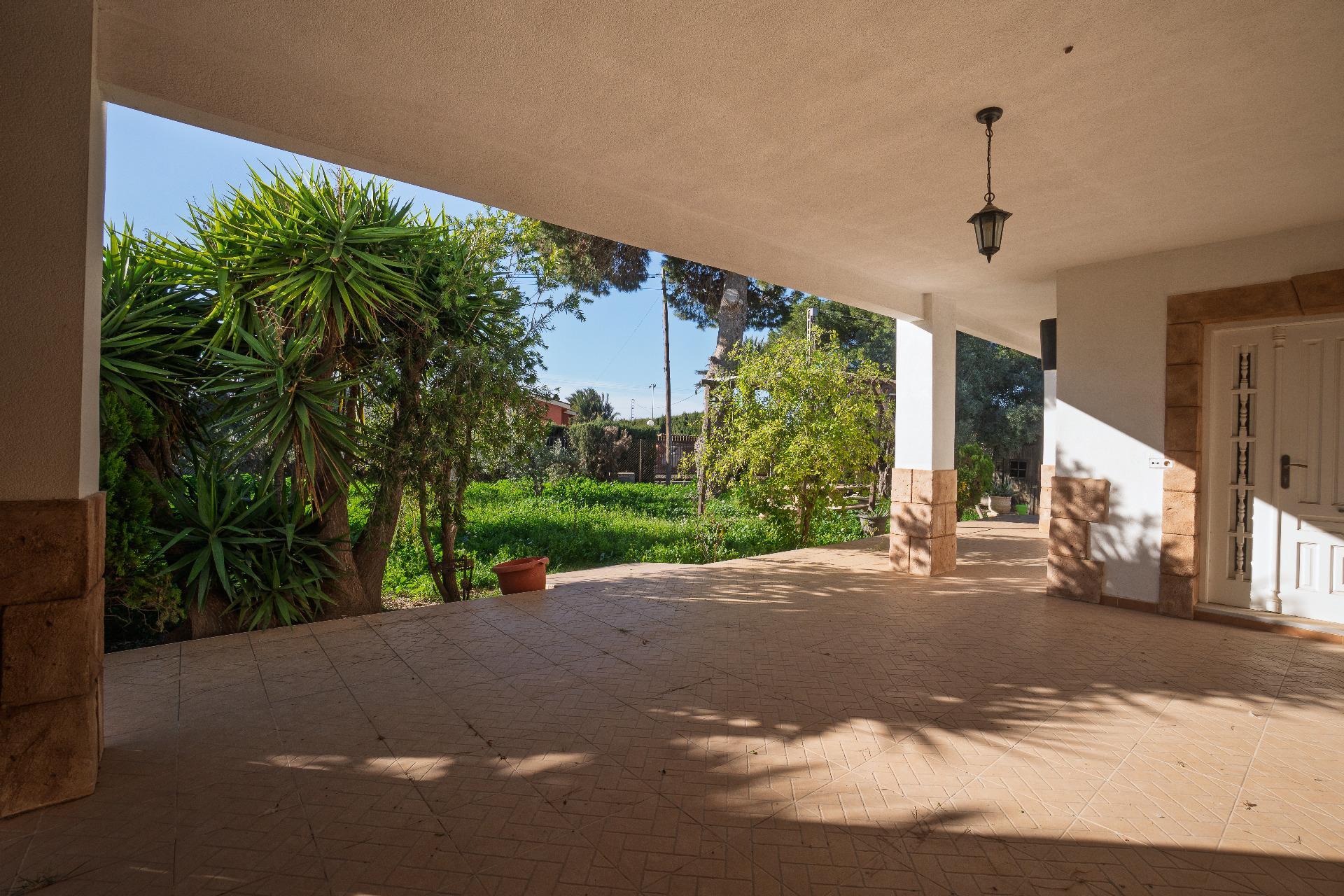 Casas o chalets-Venta-Elche-2064083-Foto-35