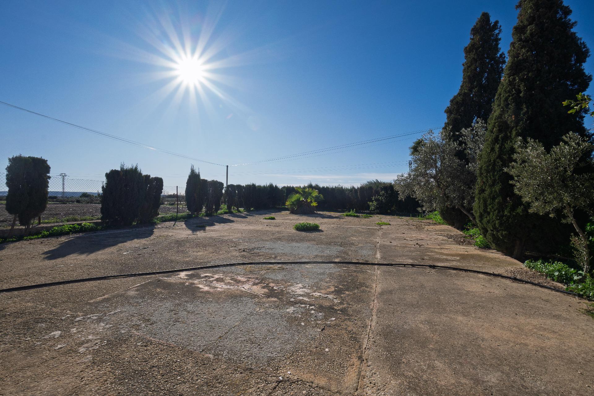 Casas o chalets-Venta-Elche-2064083-Foto-32