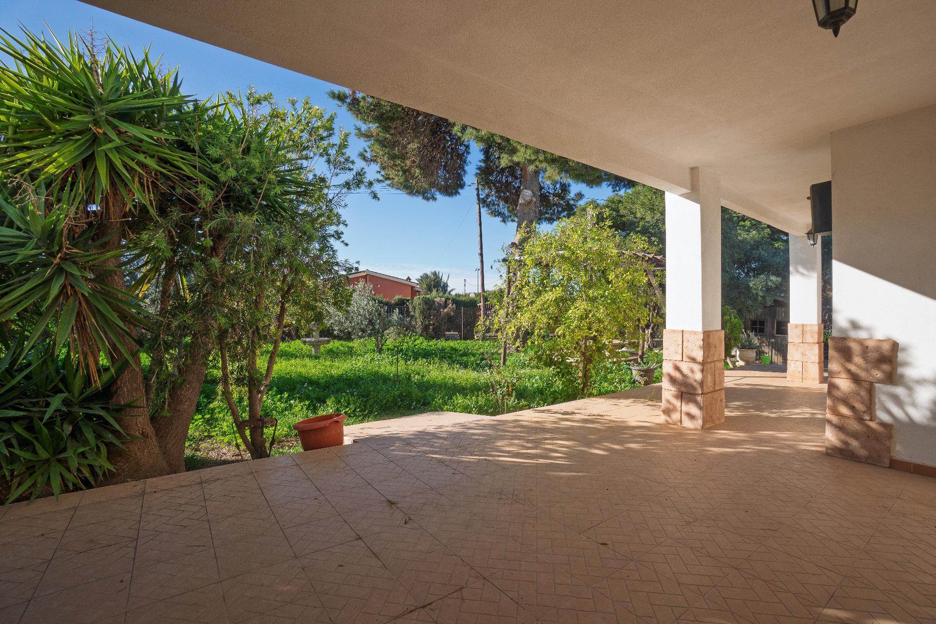 Casas o chalets-Venta-Elche-2064083-Foto-34