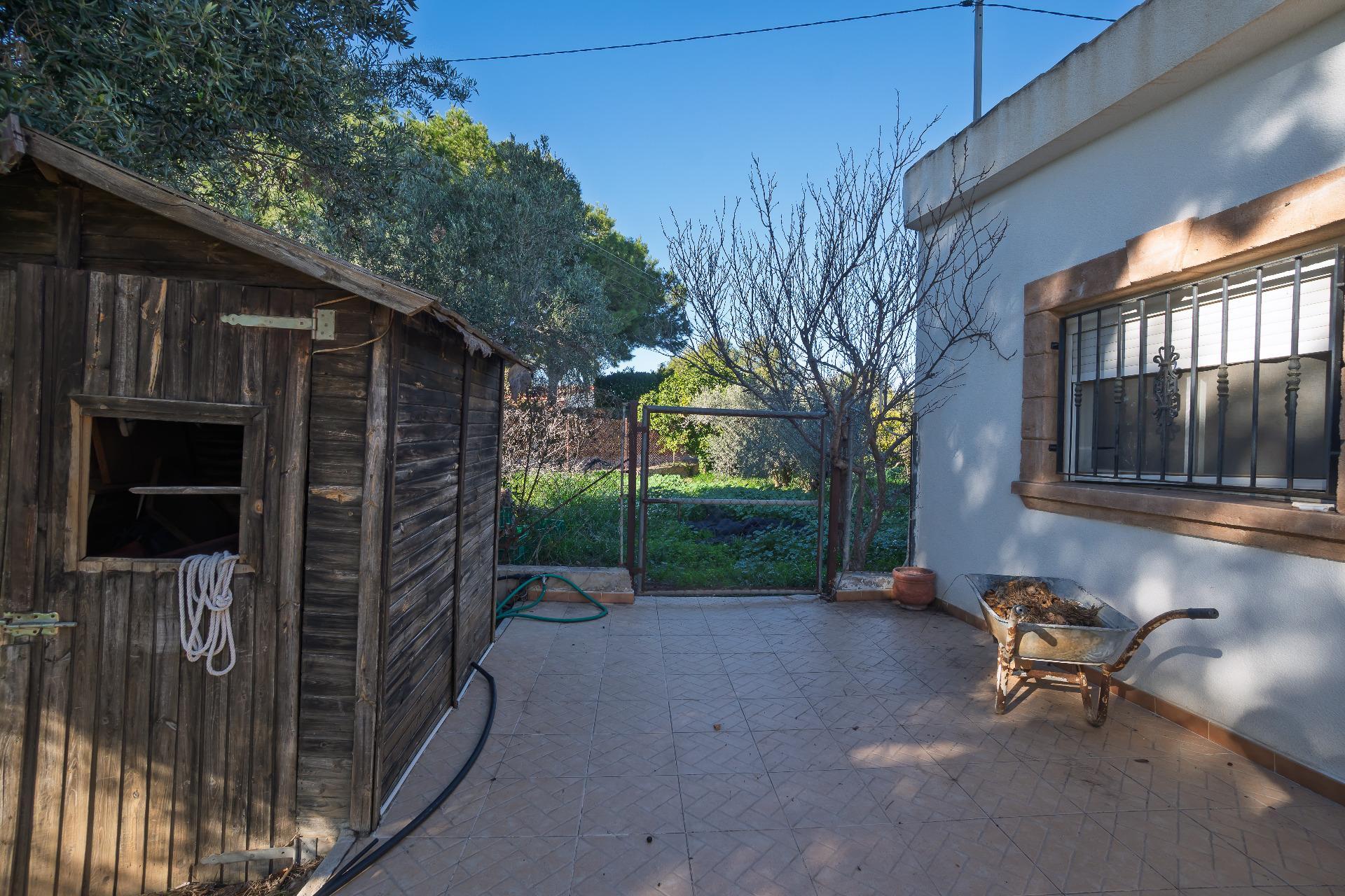 Casas o chalets-Venta-Elche-2064083-Foto-40