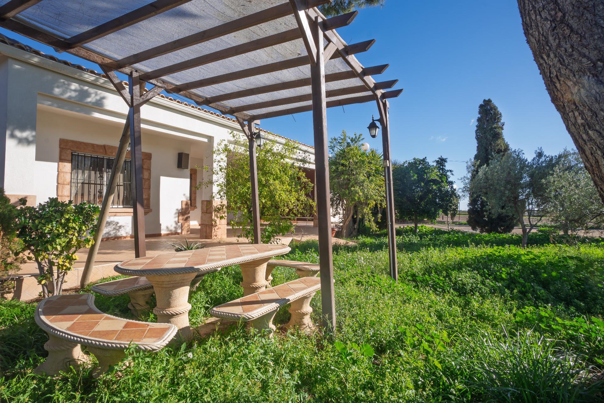 Casas o chalets-Venta-Elche-2064083-Foto-38