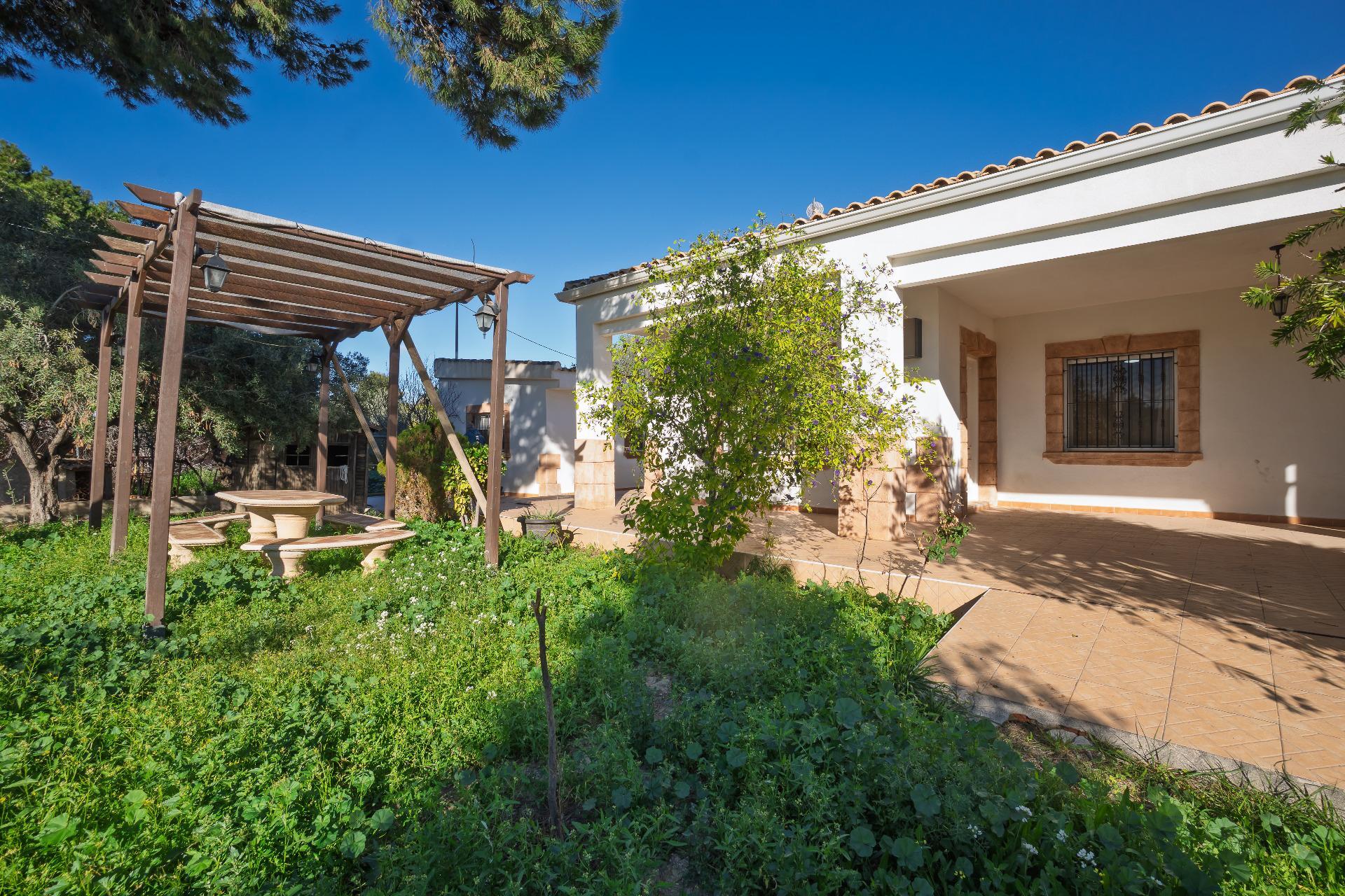 Casas o chalets-Venta-Elche-2064083-Foto-36