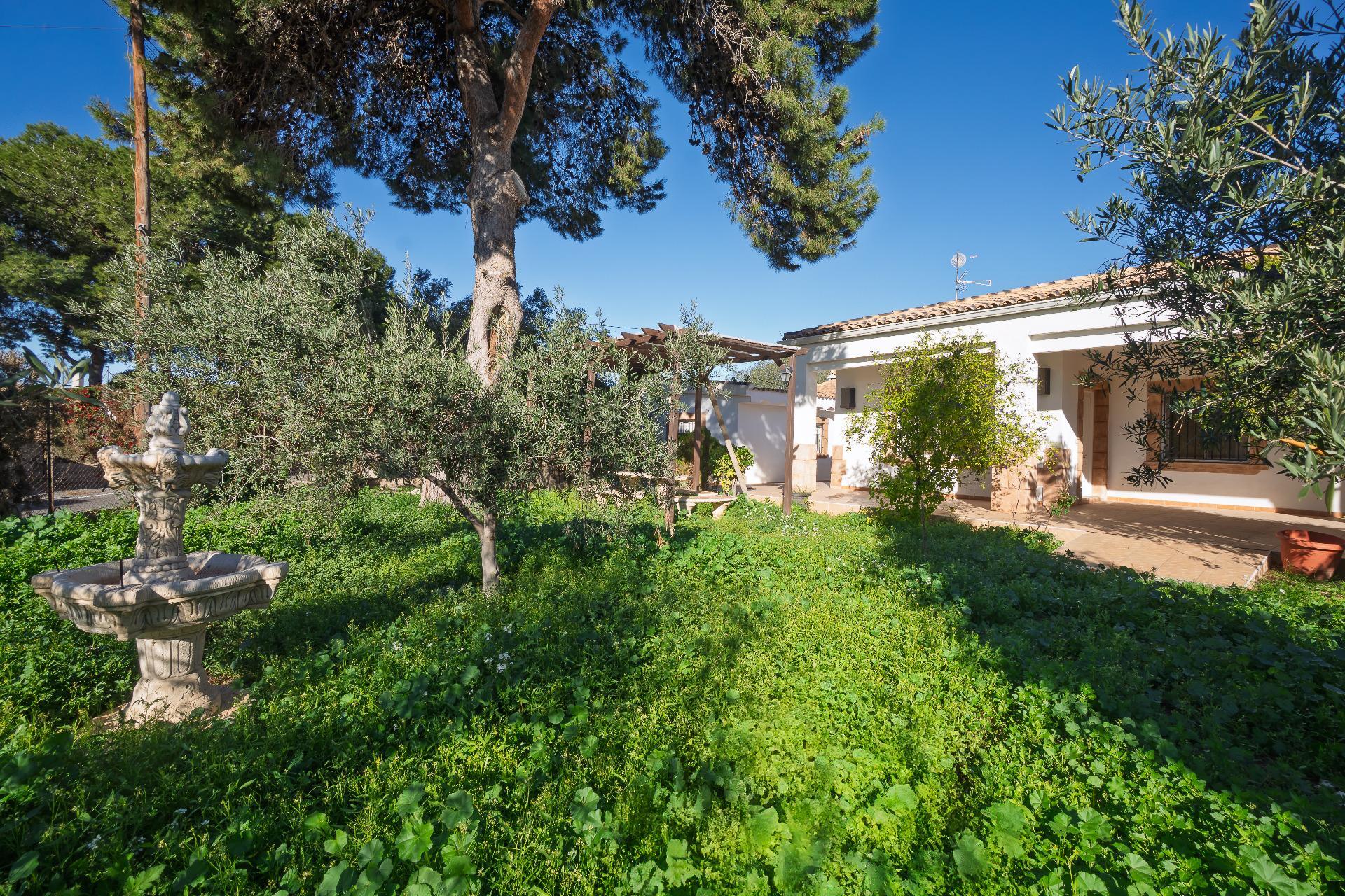 Casas o chalets-Venta-Elche-2064083-Foto-37