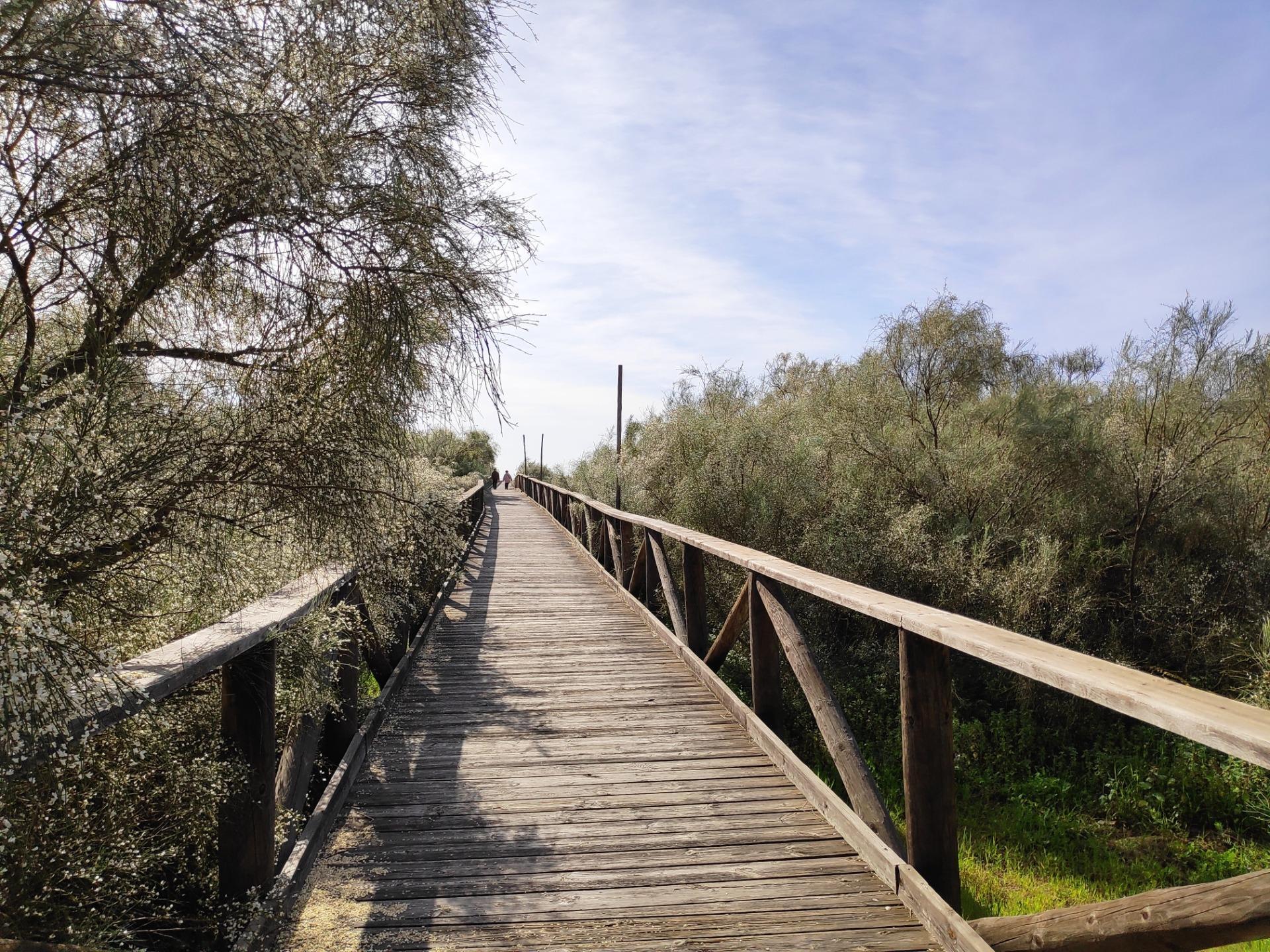 Pisos-Venta-Ayamonte-2064071-Foto-33