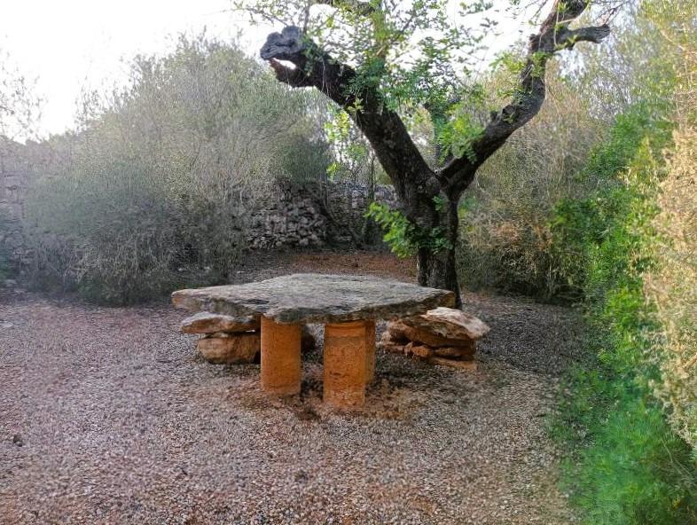 Casas o chalets-Venta-SantanyÃ­-1764375-Foto-42