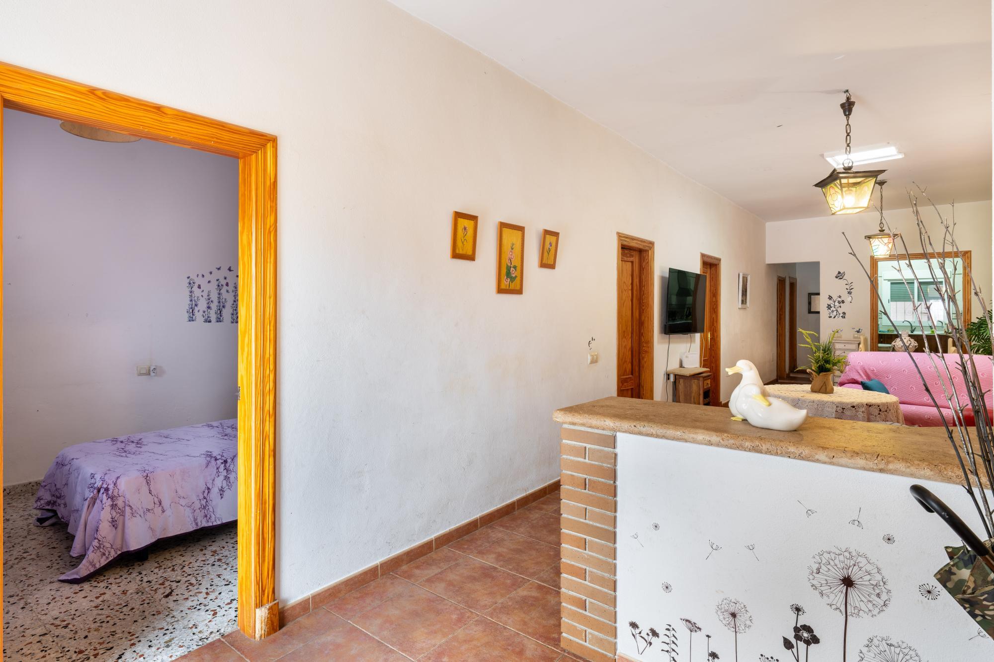 Casas o chalets-Venta-Alhama de AlmerÃ­a-2064080-Foto-7