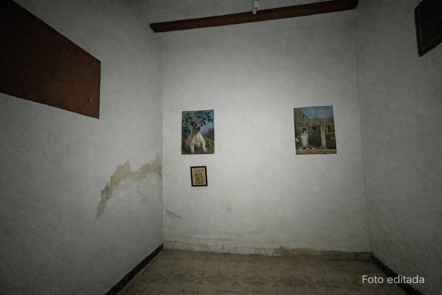 Pisos-Venta-Benaguasil-2043504-Foto-23