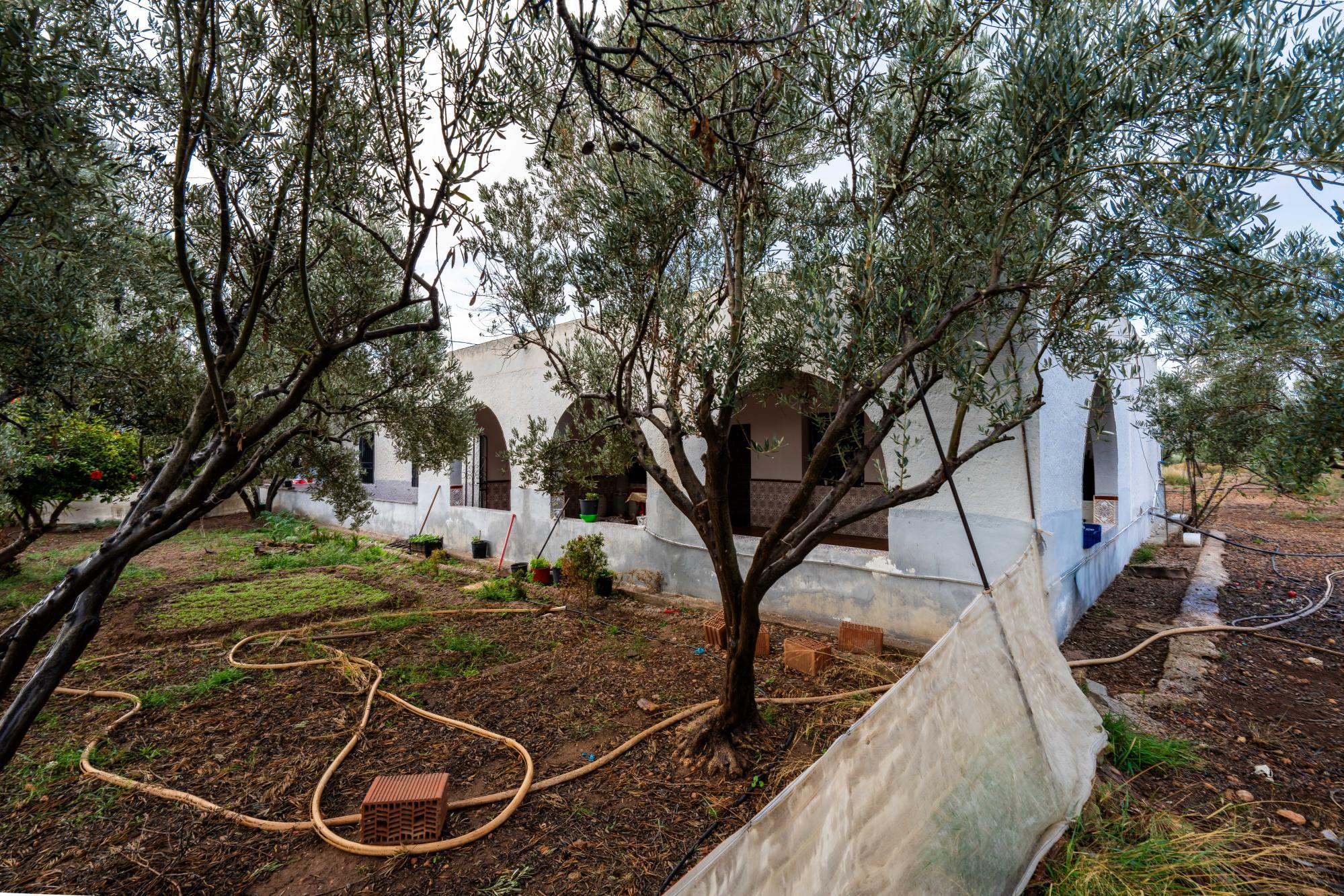 Casas o chalets-Venta-AlmerÃ­a-2064101-Foto-18