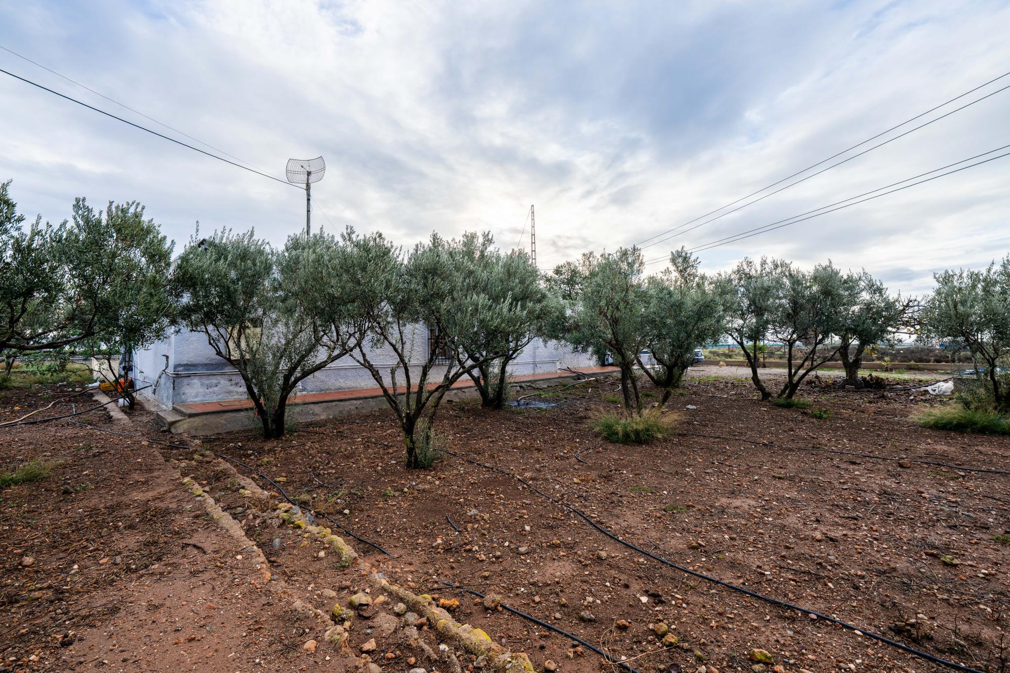 Casas o chalets-Venta-AlmerÃ­a-2064101-Foto-20