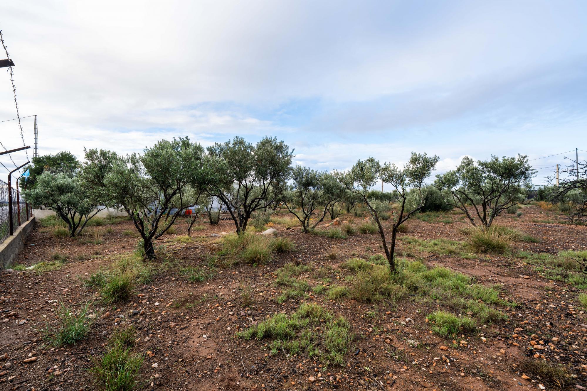 Casas o chalets-Venta-AlmerÃ­a-2064101-Foto-22