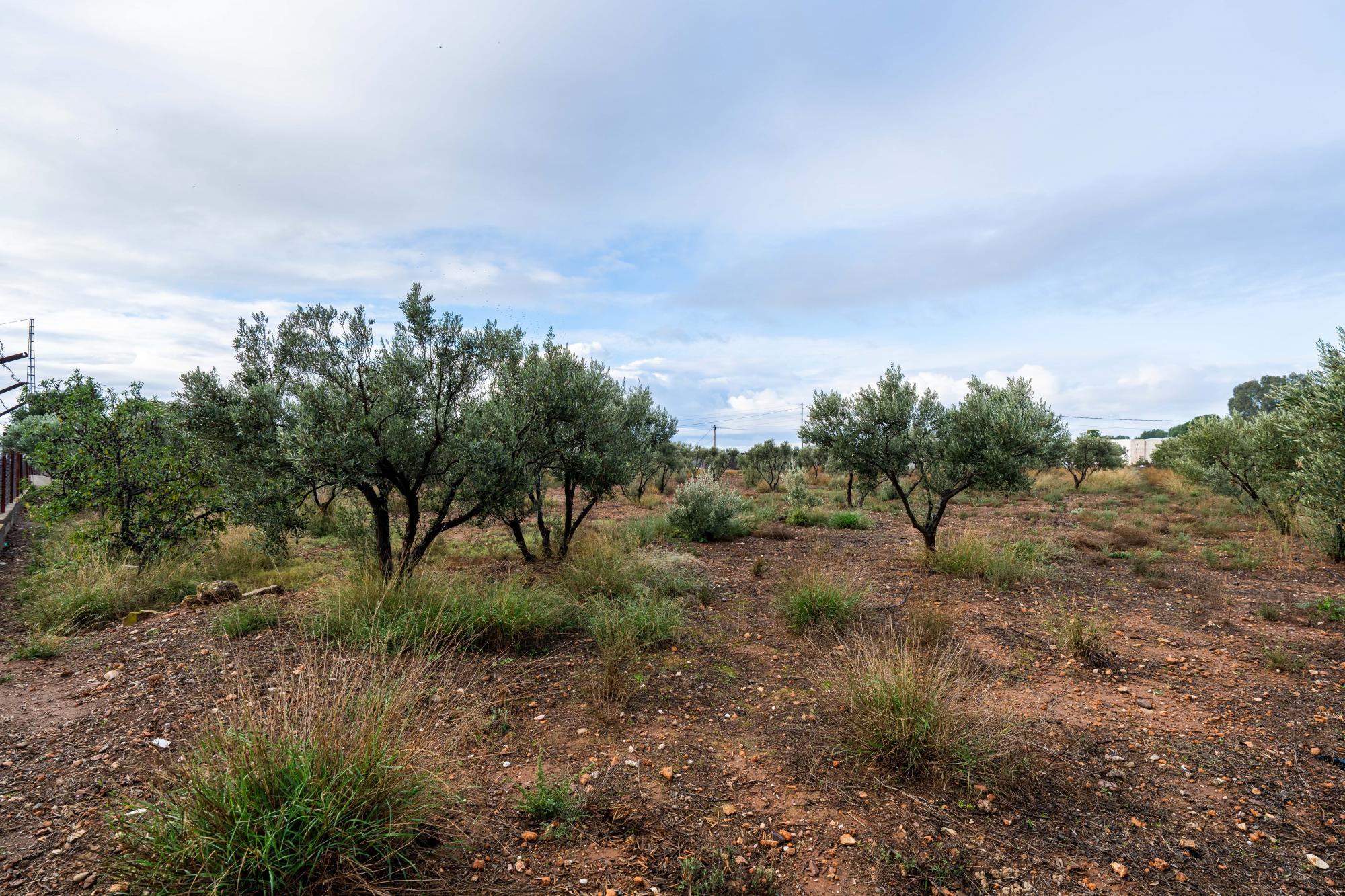 Casas o chalets-Venta-AlmerÃ­a-2064101-Foto-24