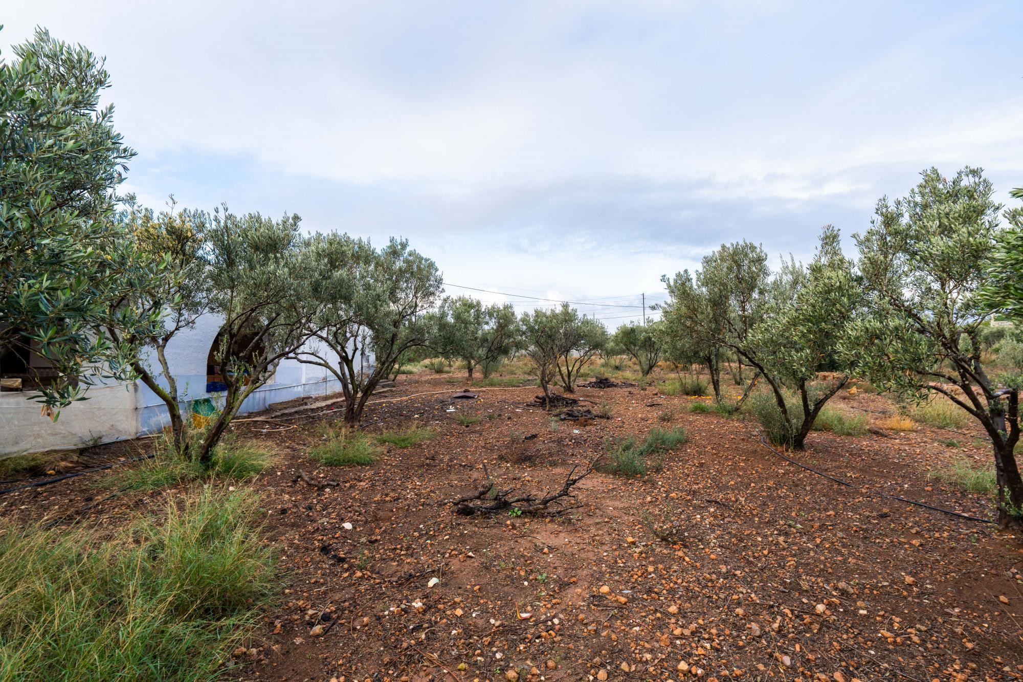 Casas o chalets-Venta-AlmerÃ­a-2064101-Foto-23