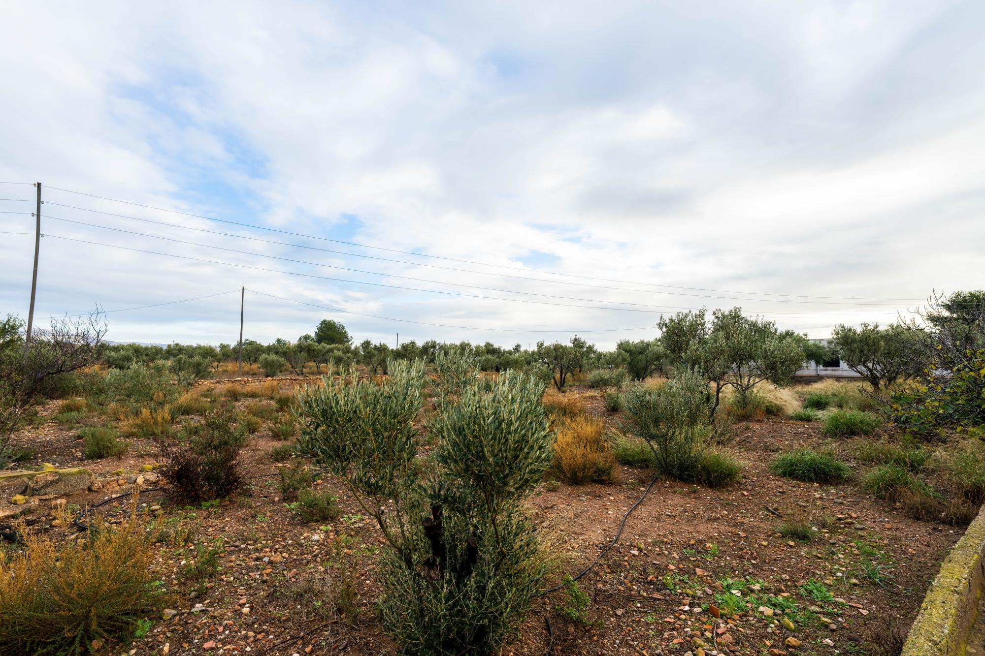 Casas o chalets-Venta-AlmerÃ­a-2064101-Foto-30