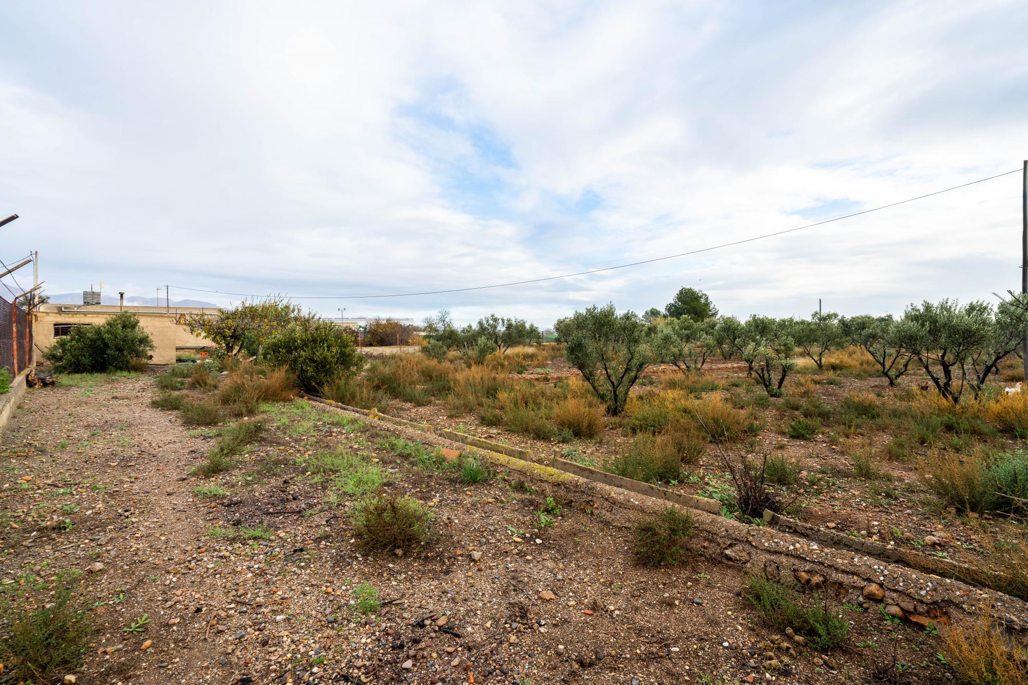 Casas o chalets-Venta-AlmerÃ­a-2064101-Foto-32