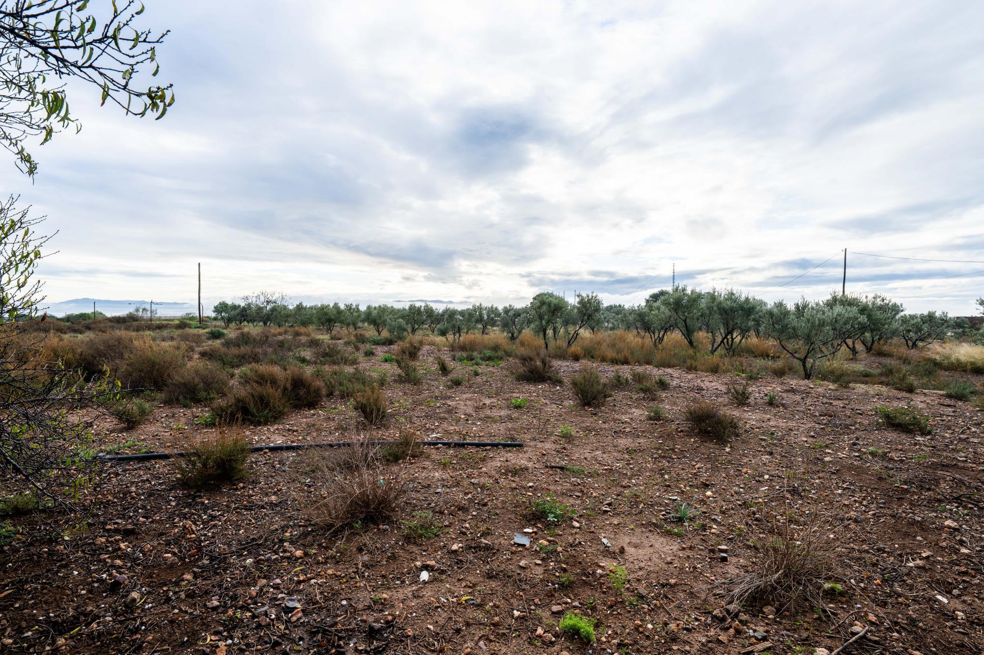 Casas o chalets-Venta-AlmerÃ­a-2064101-Foto-40