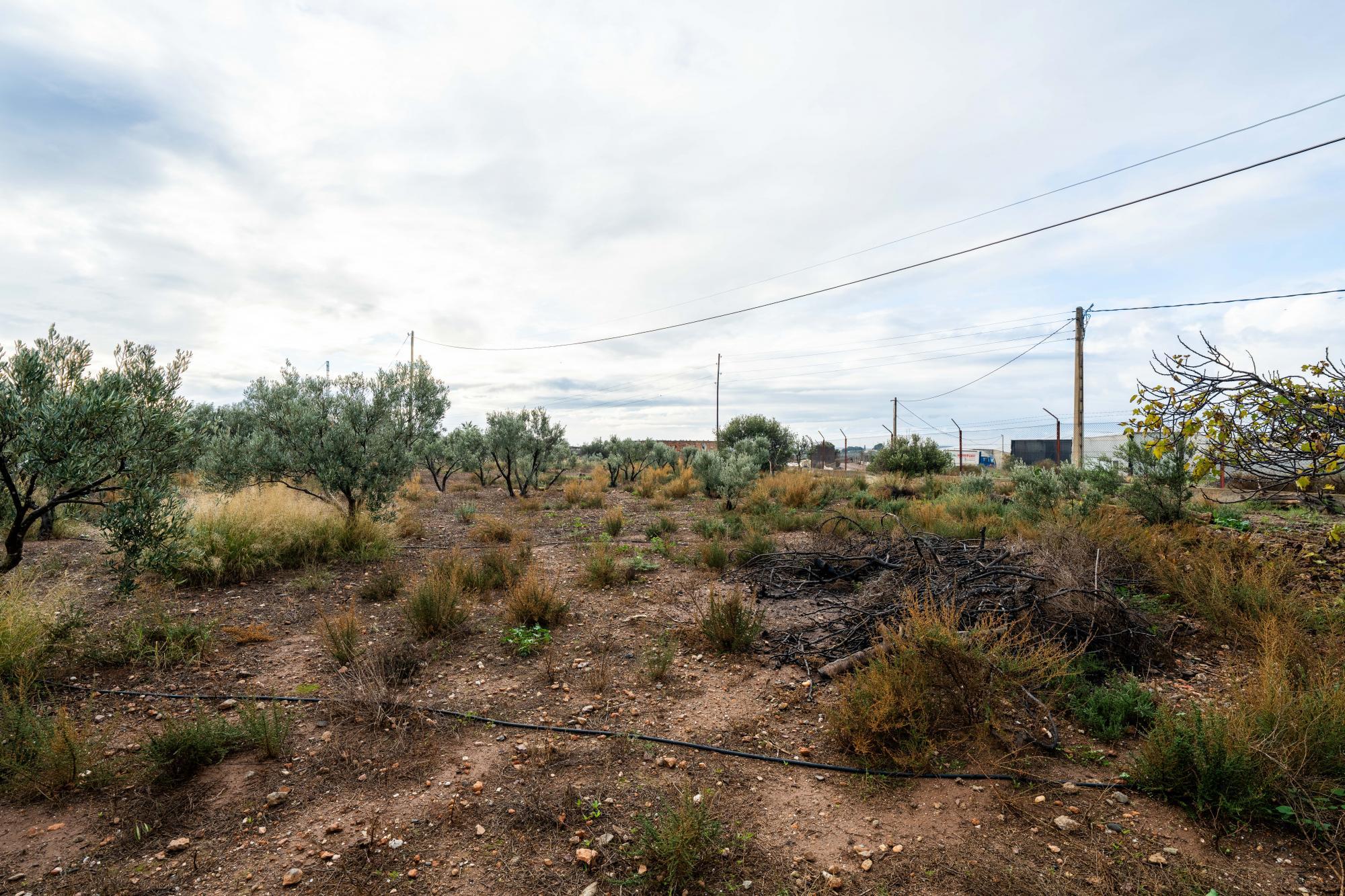 Casas o chalets-Venta-AlmerÃ­a-2064101-Foto-39