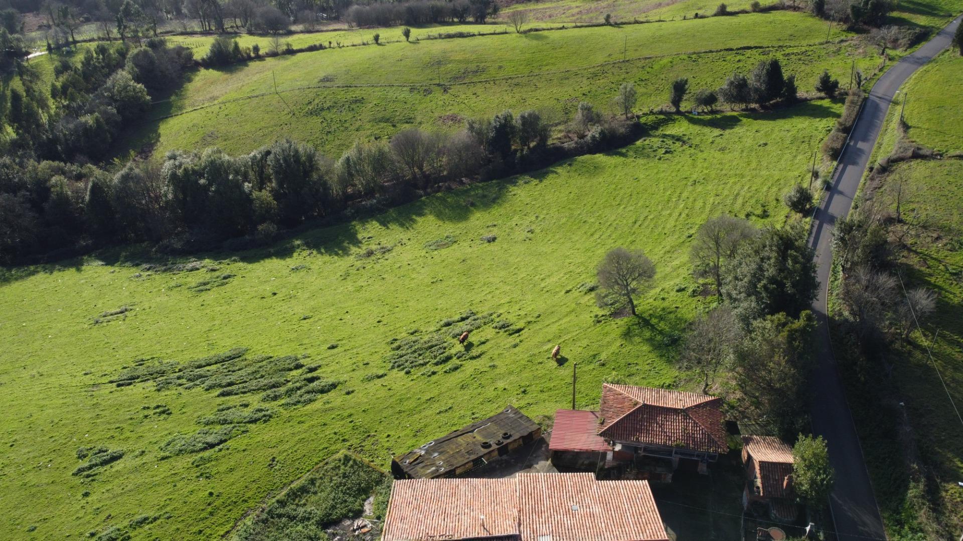 Casas o chalets-Venta-CarreÃ±o-2064107-Foto-57