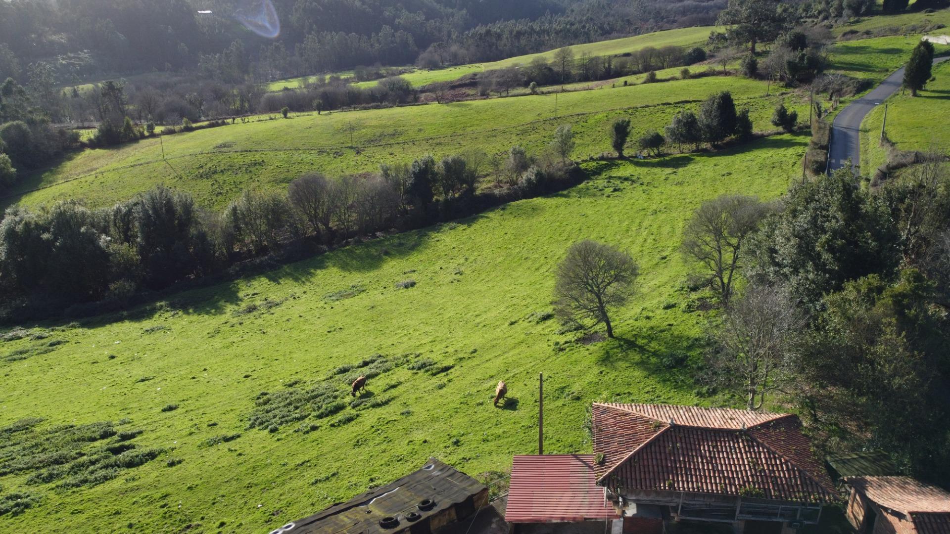 Casas o chalets-Venta-CarreÃ±o-2064107-Foto-62