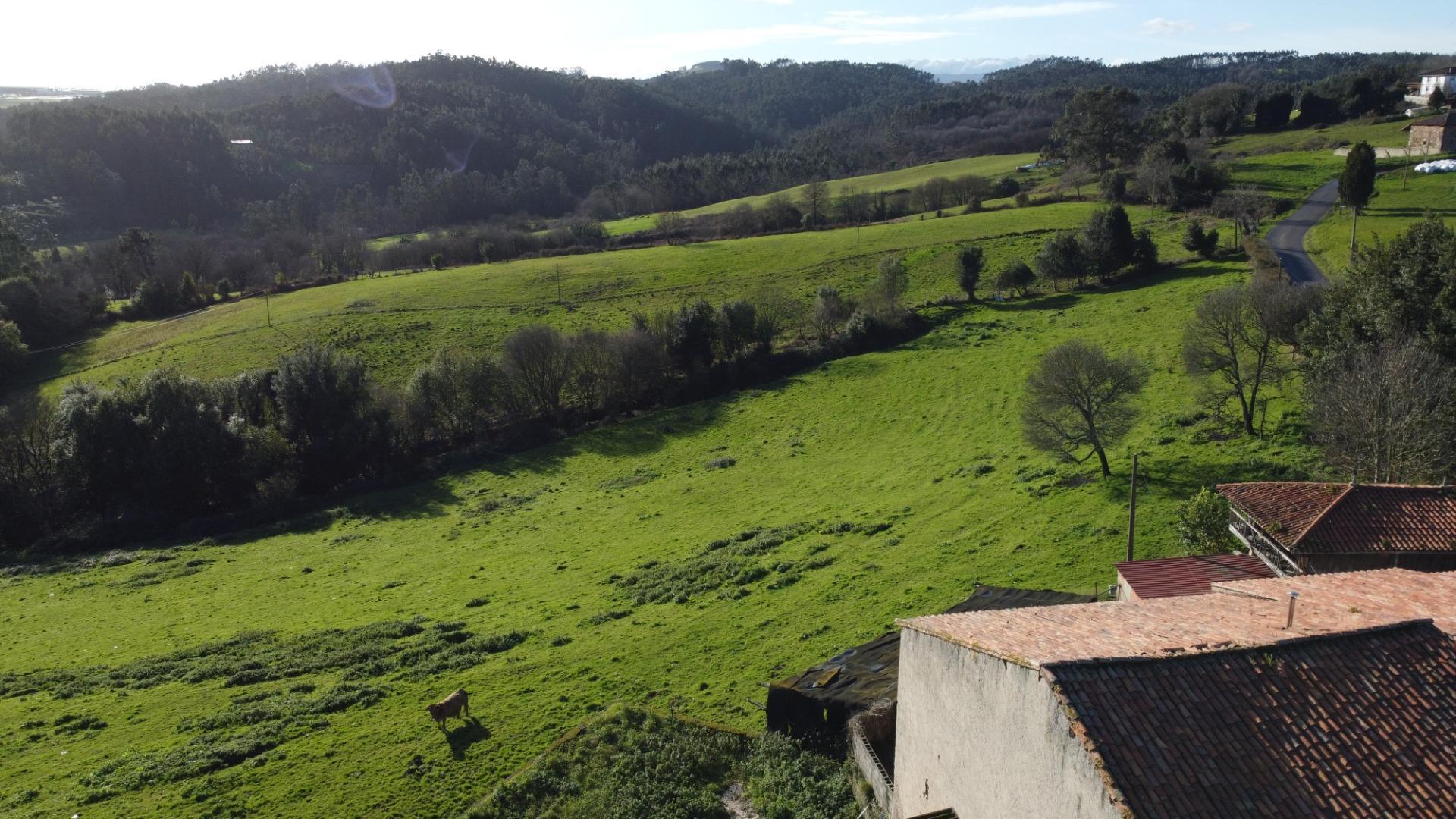 Casas o chalets-Venta-CarreÃ±o-2064107-Foto-70