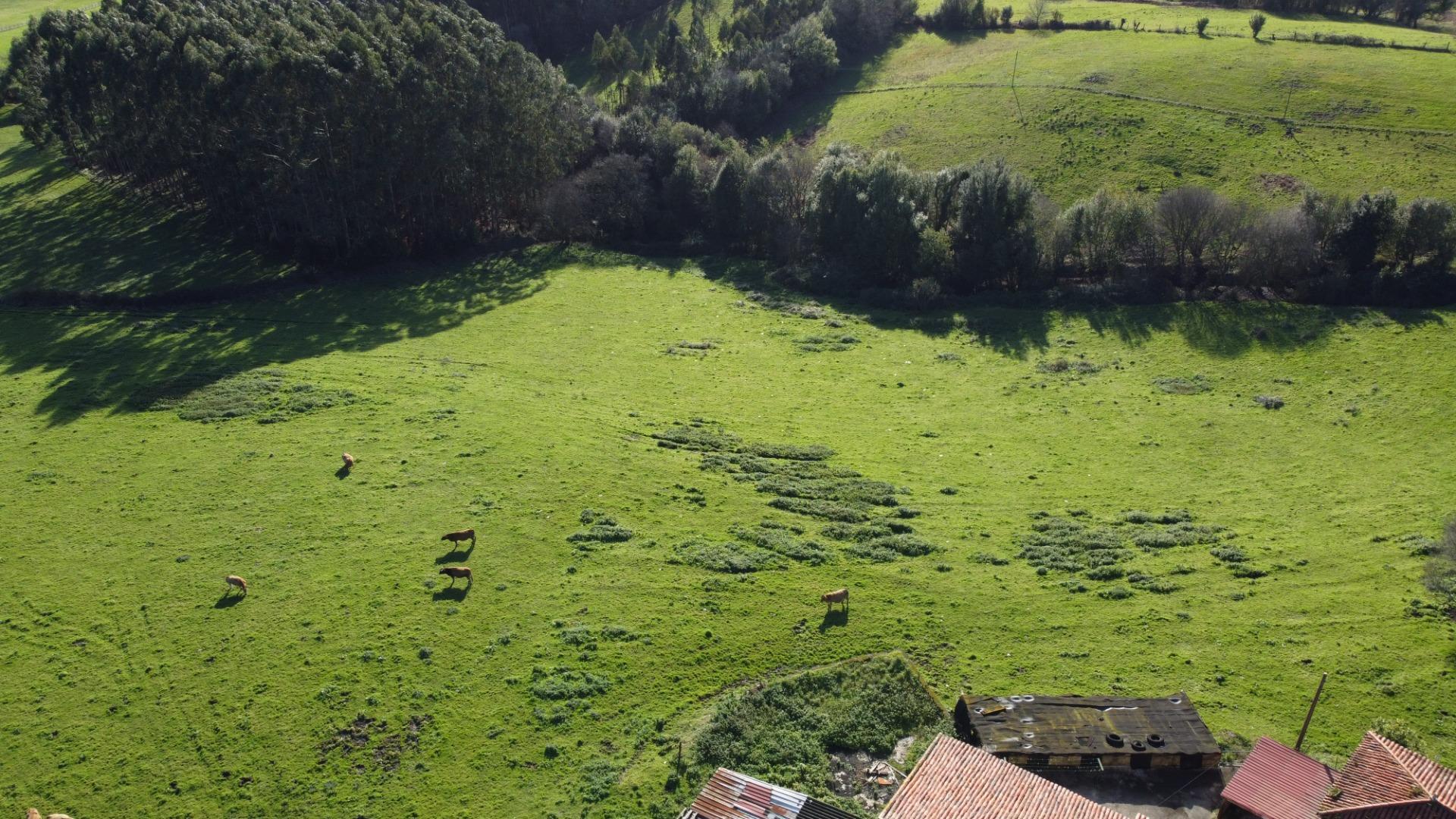 Casas o chalets-Venta-CarreÃ±o-2064107-Foto-73