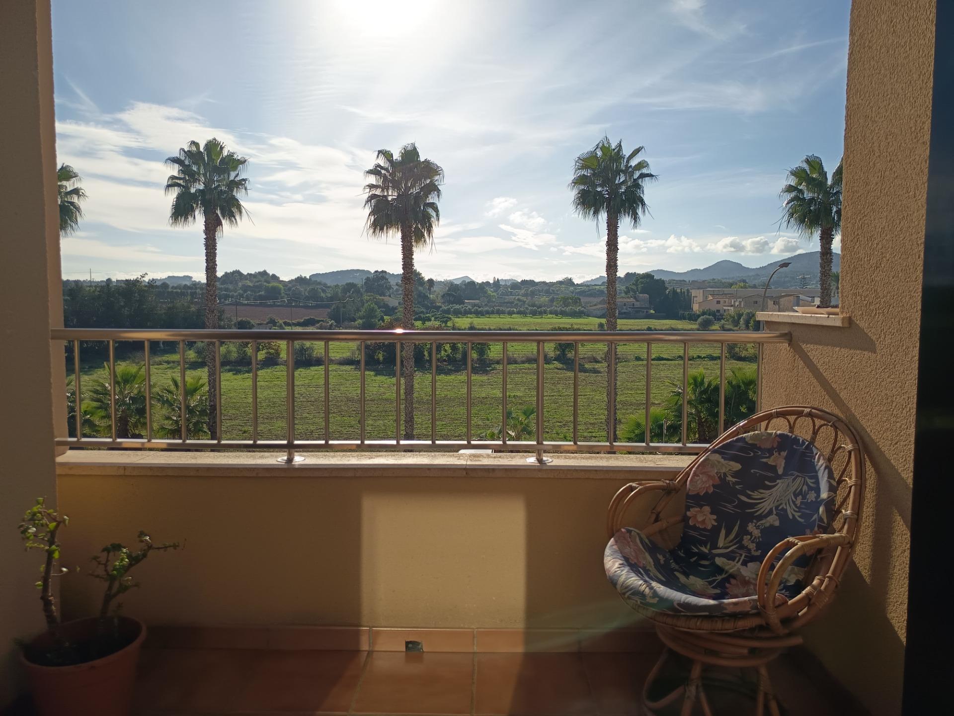 Pisos-Venta-Manacor-1974902