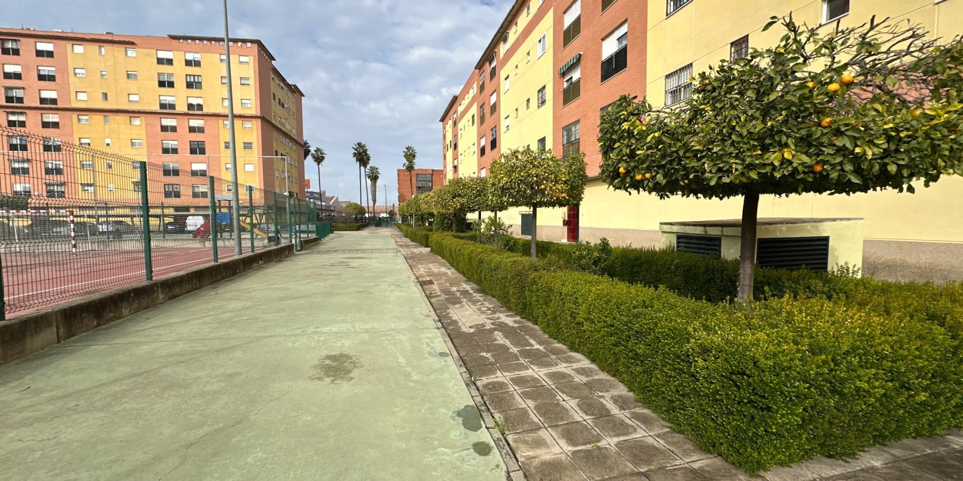 Pisos-Alquiler-Burguillos-2064788-Foto-35