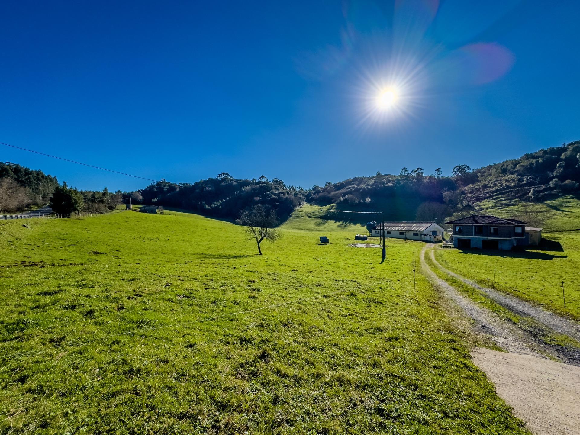 Casas o chalets-Venta-Hazas de Cesto-1537988-Foto-47