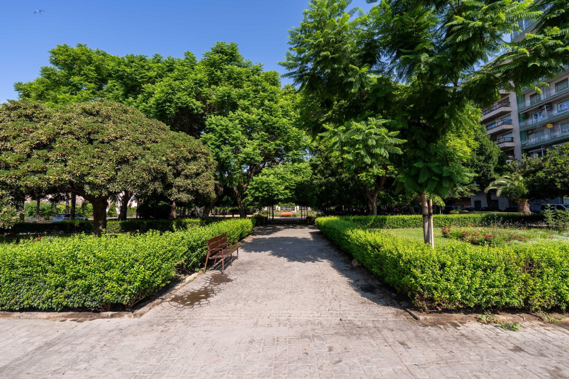 Locales-Venta-AlmerÃ­a-2064809-Foto-3