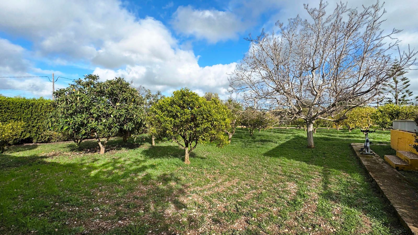 Industrial en venta en calle 11, Selva 28/29