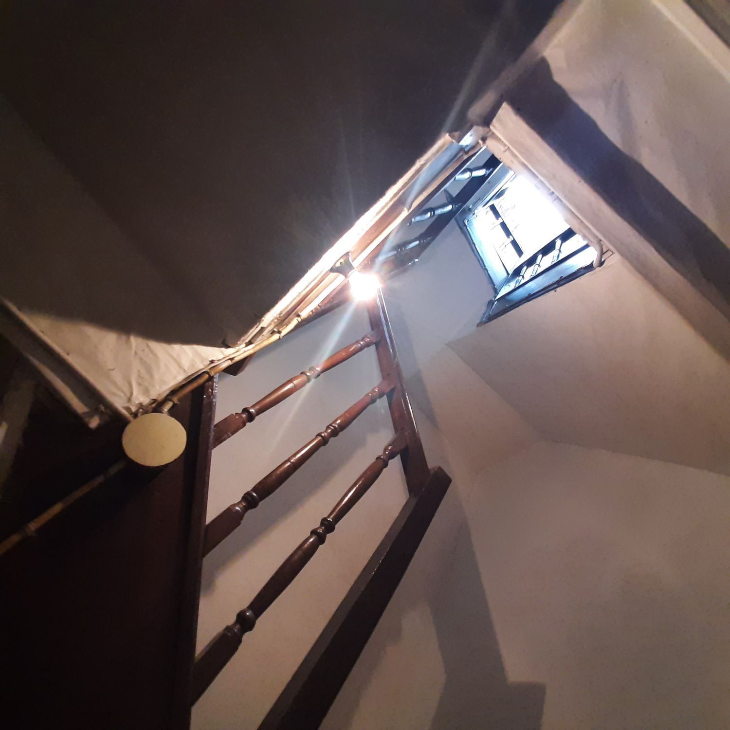 Casas o chalets-Venta-Viveiro-1830032-Foto-20