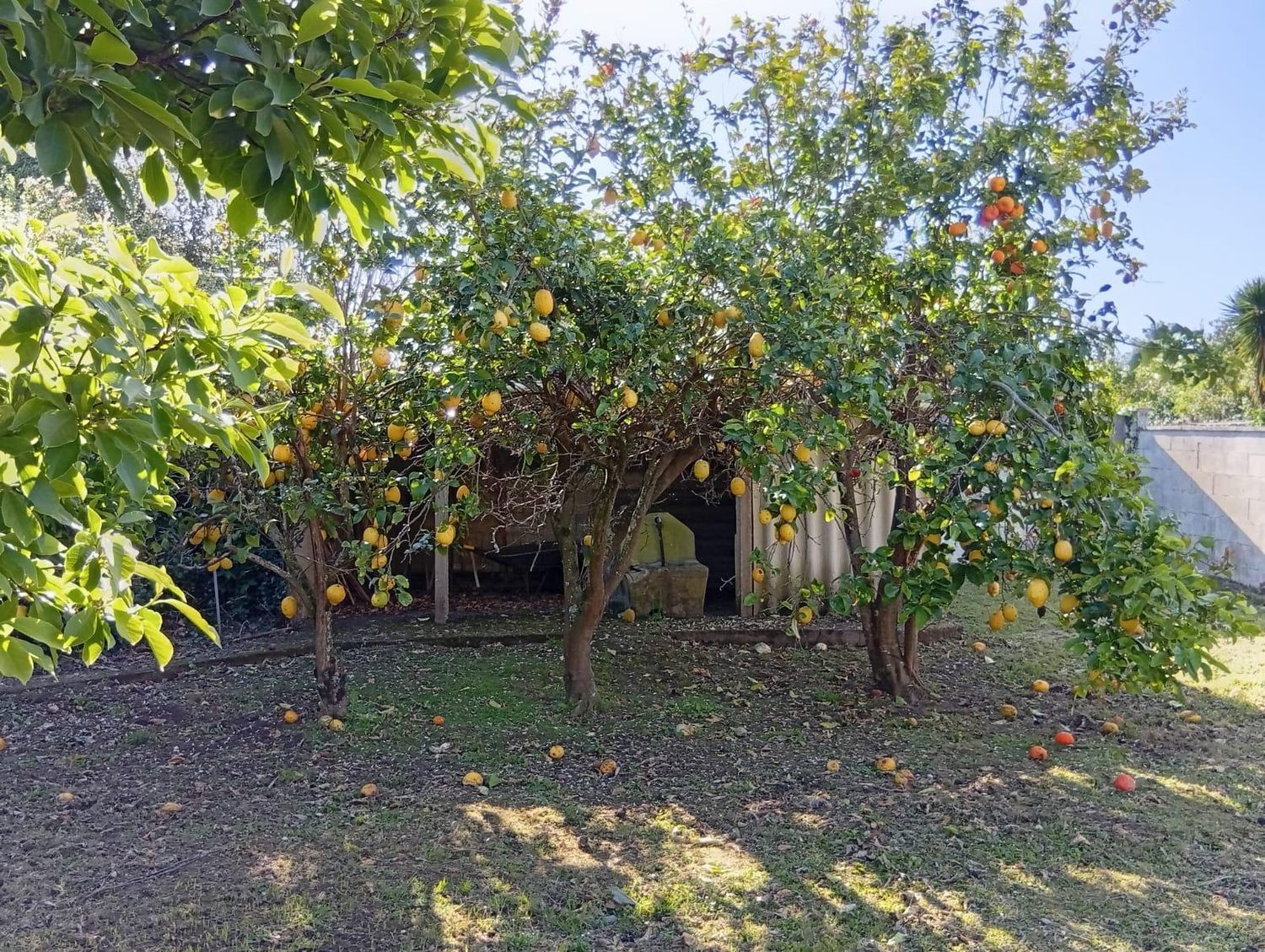 Casa en venta  Mugardos  10/23