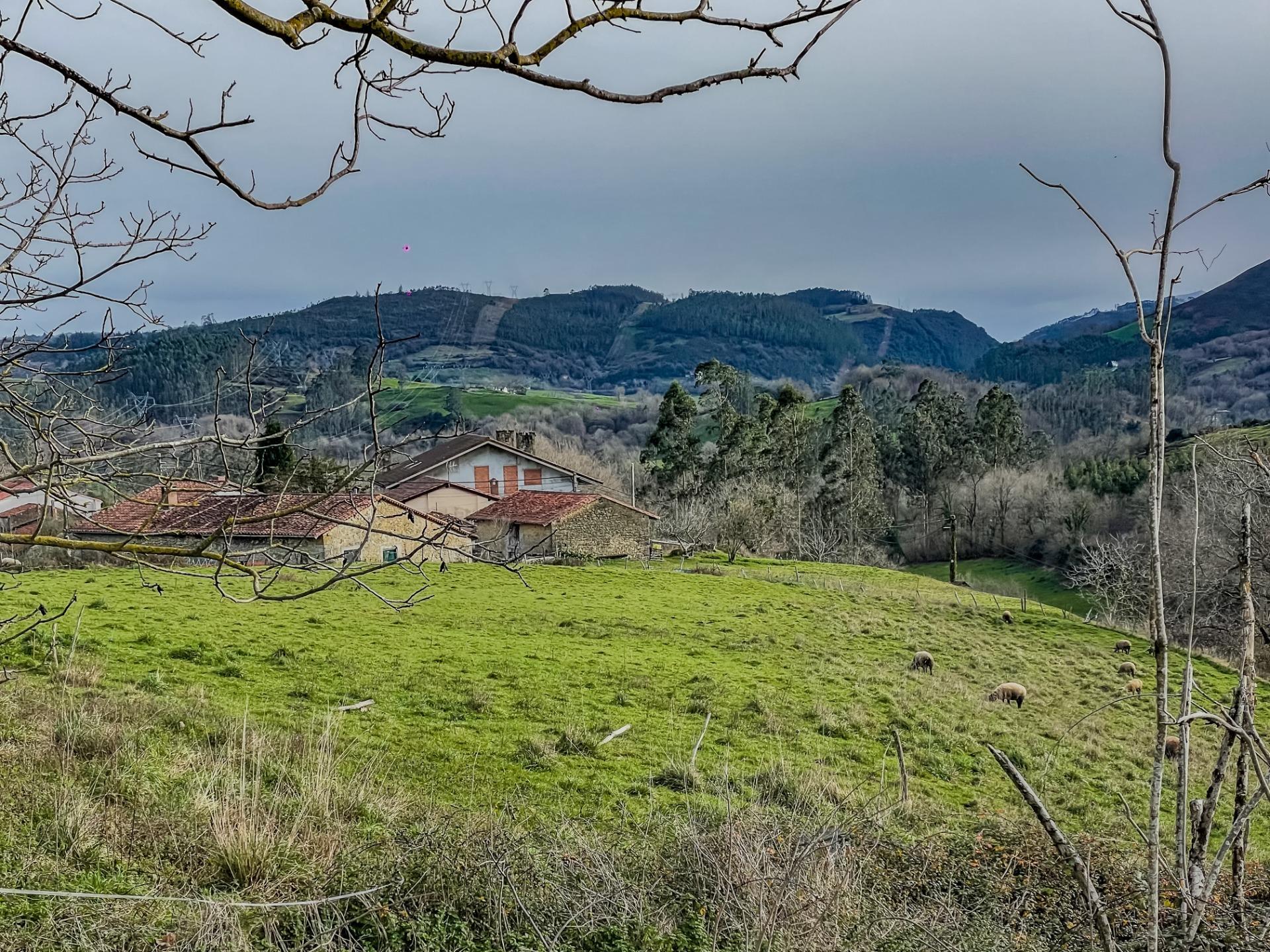 Casas o chalets-Venta-ValdÃ¡liga-2086111-Foto-17