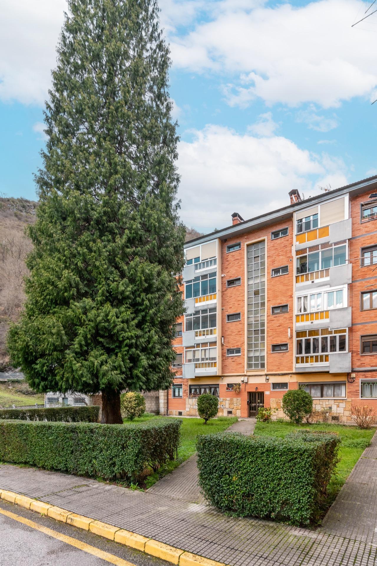 Pisos-Venta-Aller-2086117-Foto-32