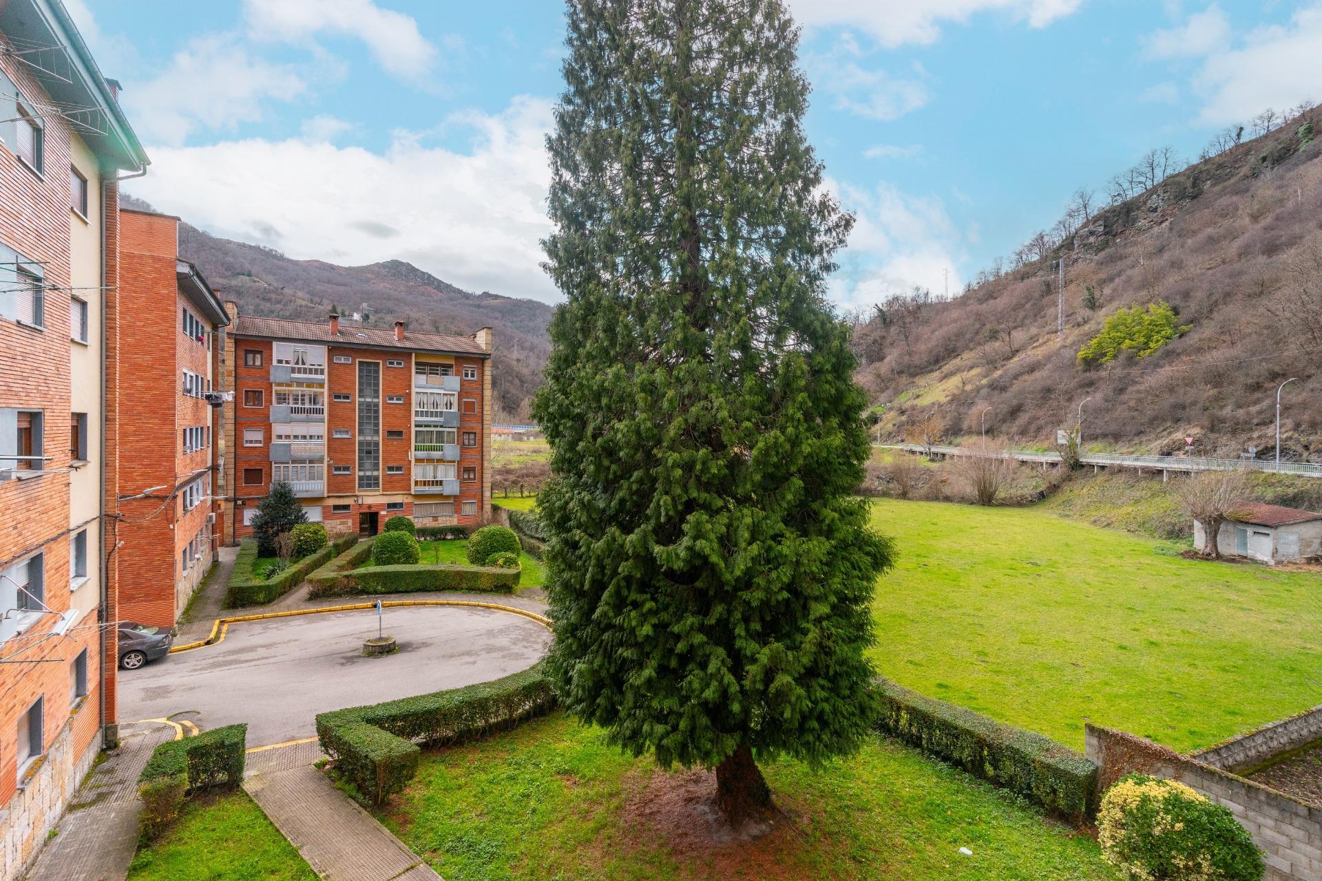 Pisos-Venta-Aller-2086117-Foto-31