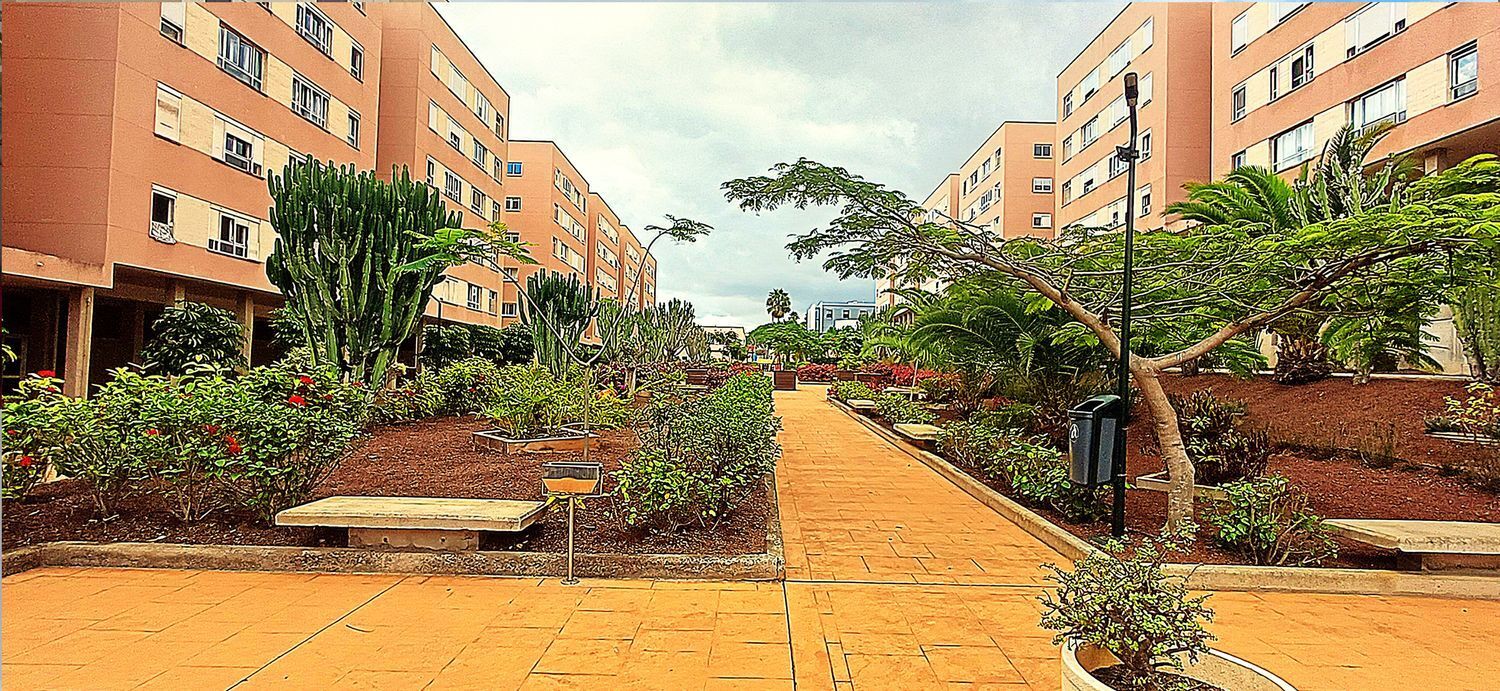 Pisos-Alquiler-Las Palmas de Gran Canaria-2009048-Foto-17