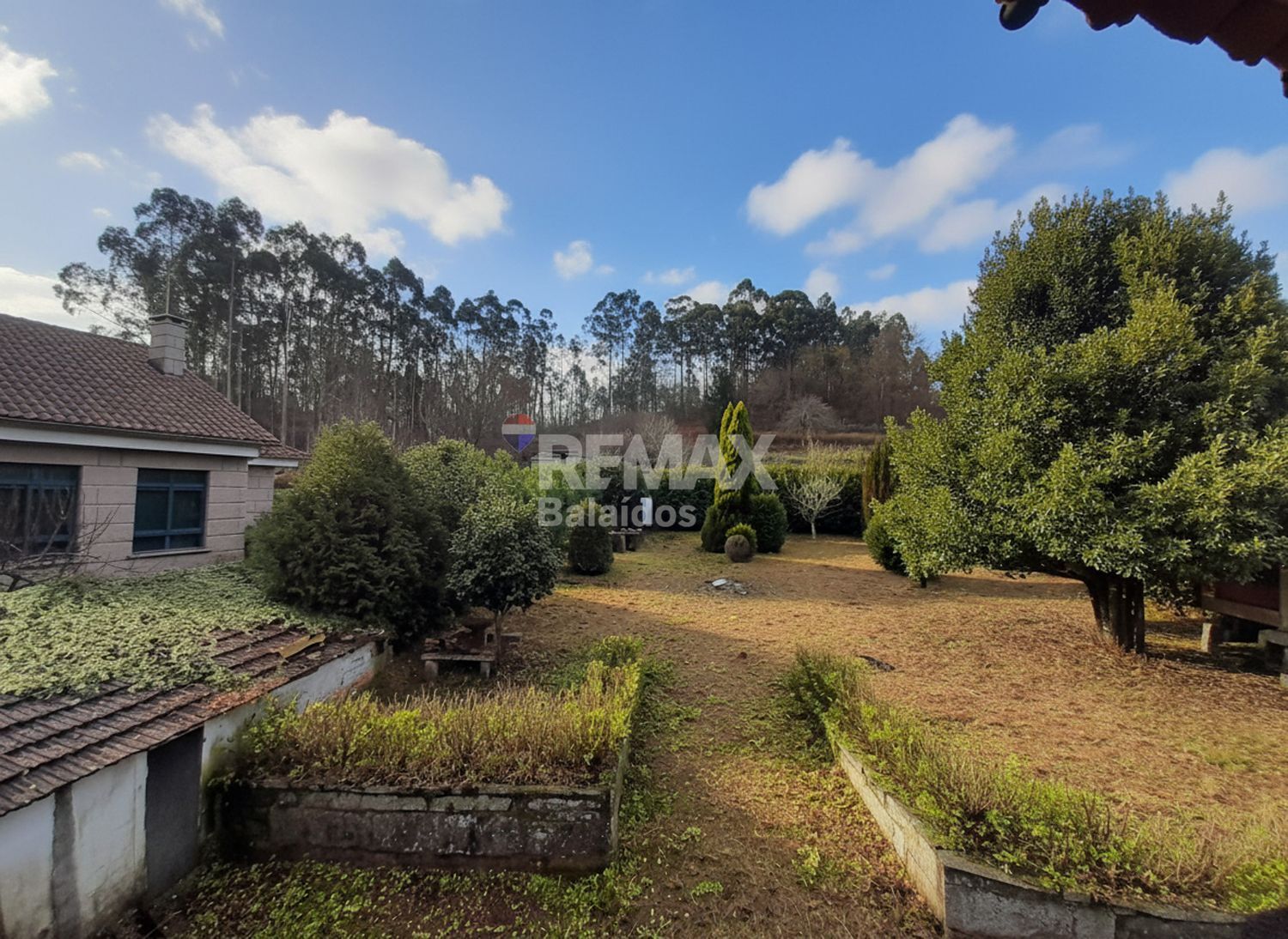 Casas o chalets-Alquiler-Mondariz-2041062-Foto-7