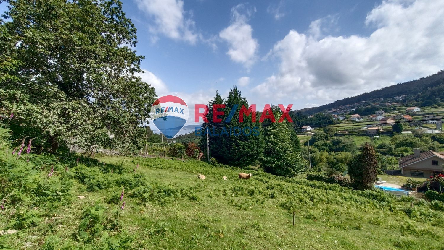 Terreno en venta  calle lugar a Portela, A Portela  17/22